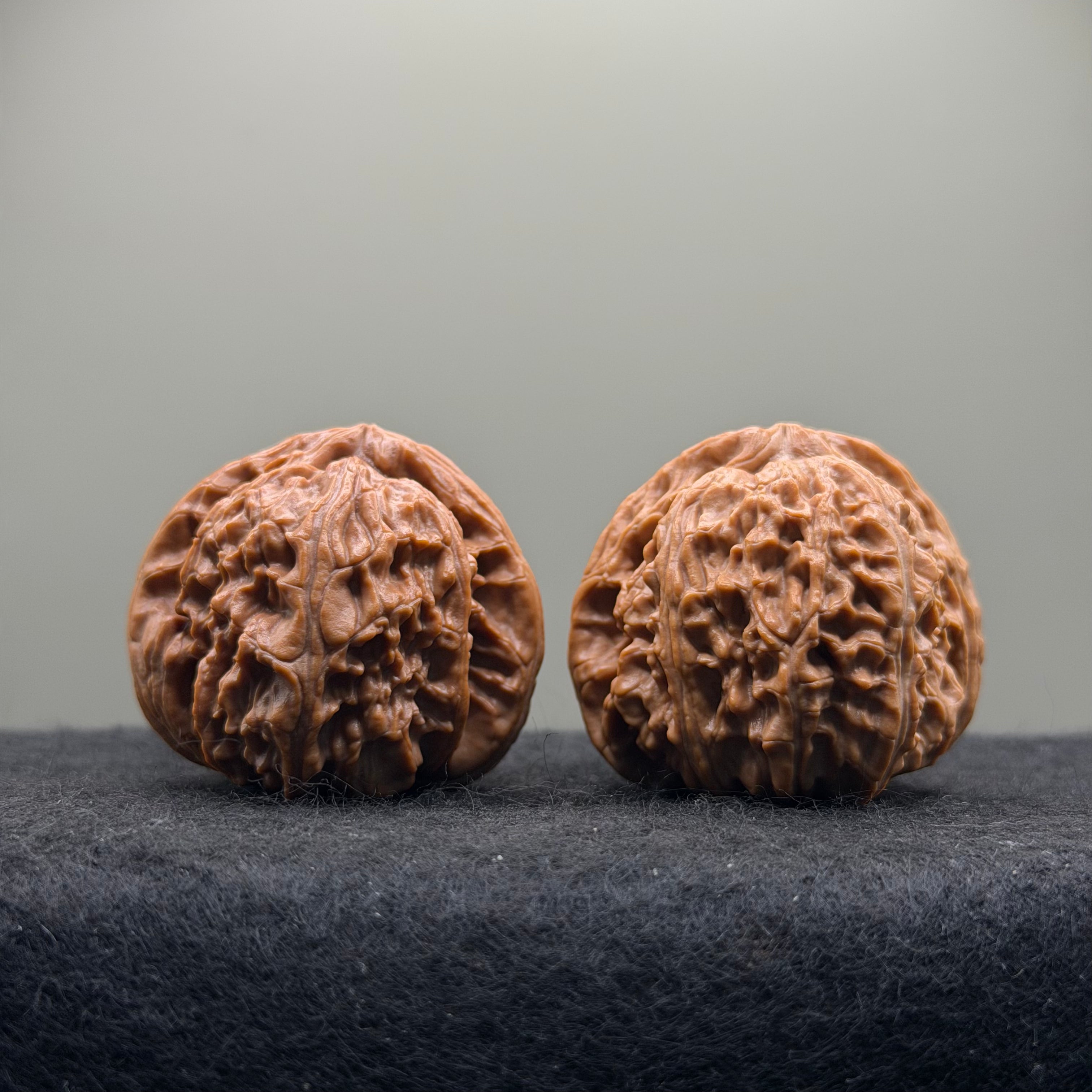 White Lion Wenwan Walnut · 39mm · Natural · Select Ritual