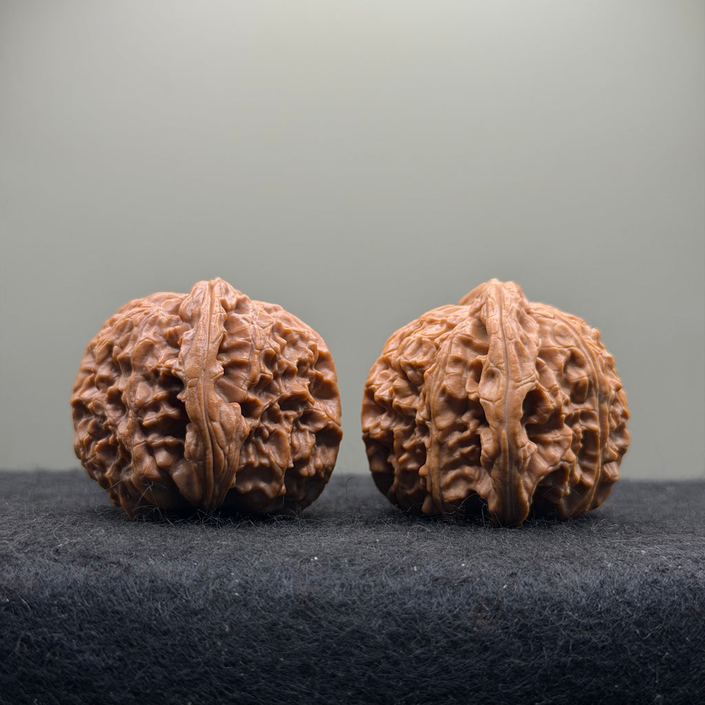 White Lion Wenwan Walnut · 39mm · Natural · Select Ritual