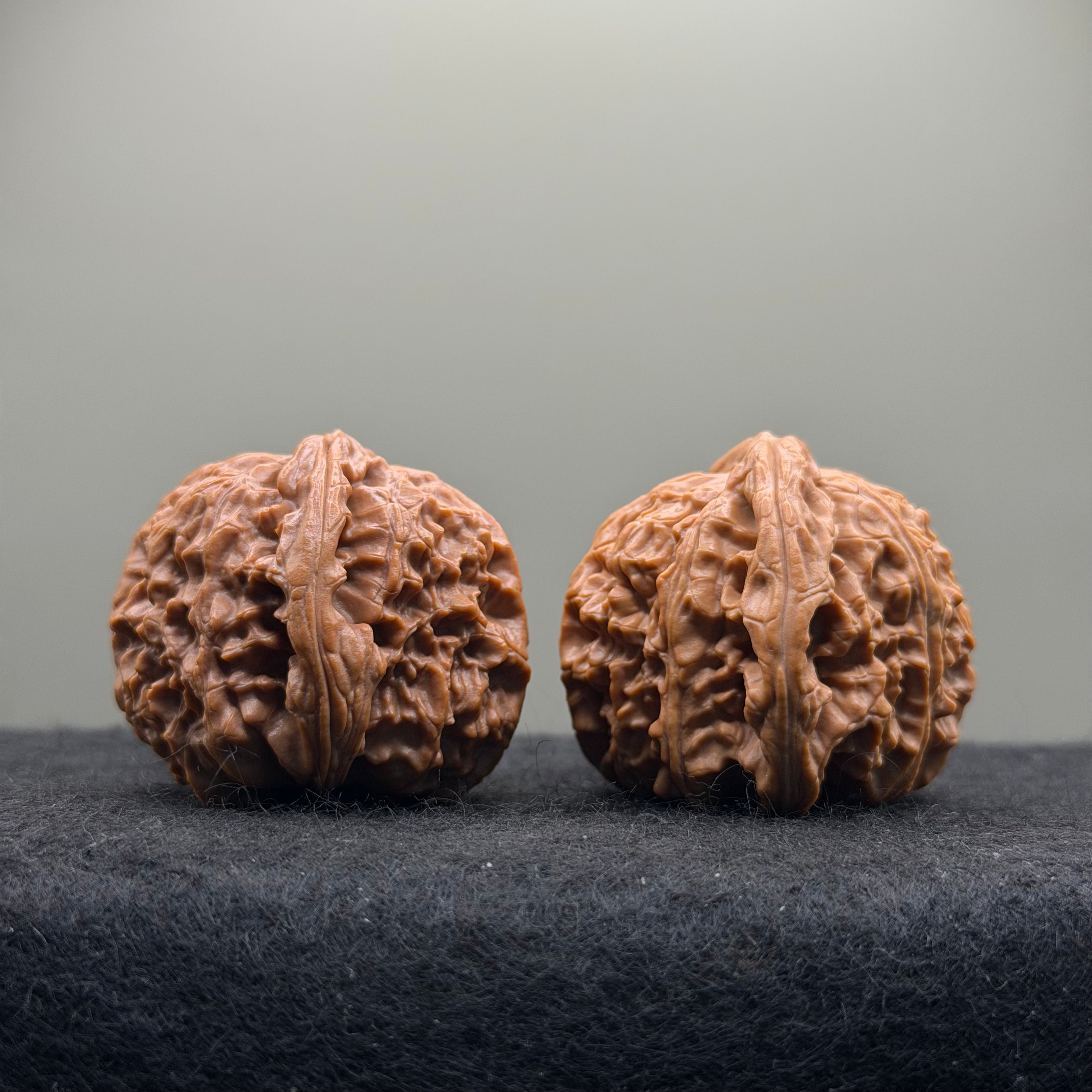 White Lion Wenwan Walnut · 39mm · Natural · Select Ritual