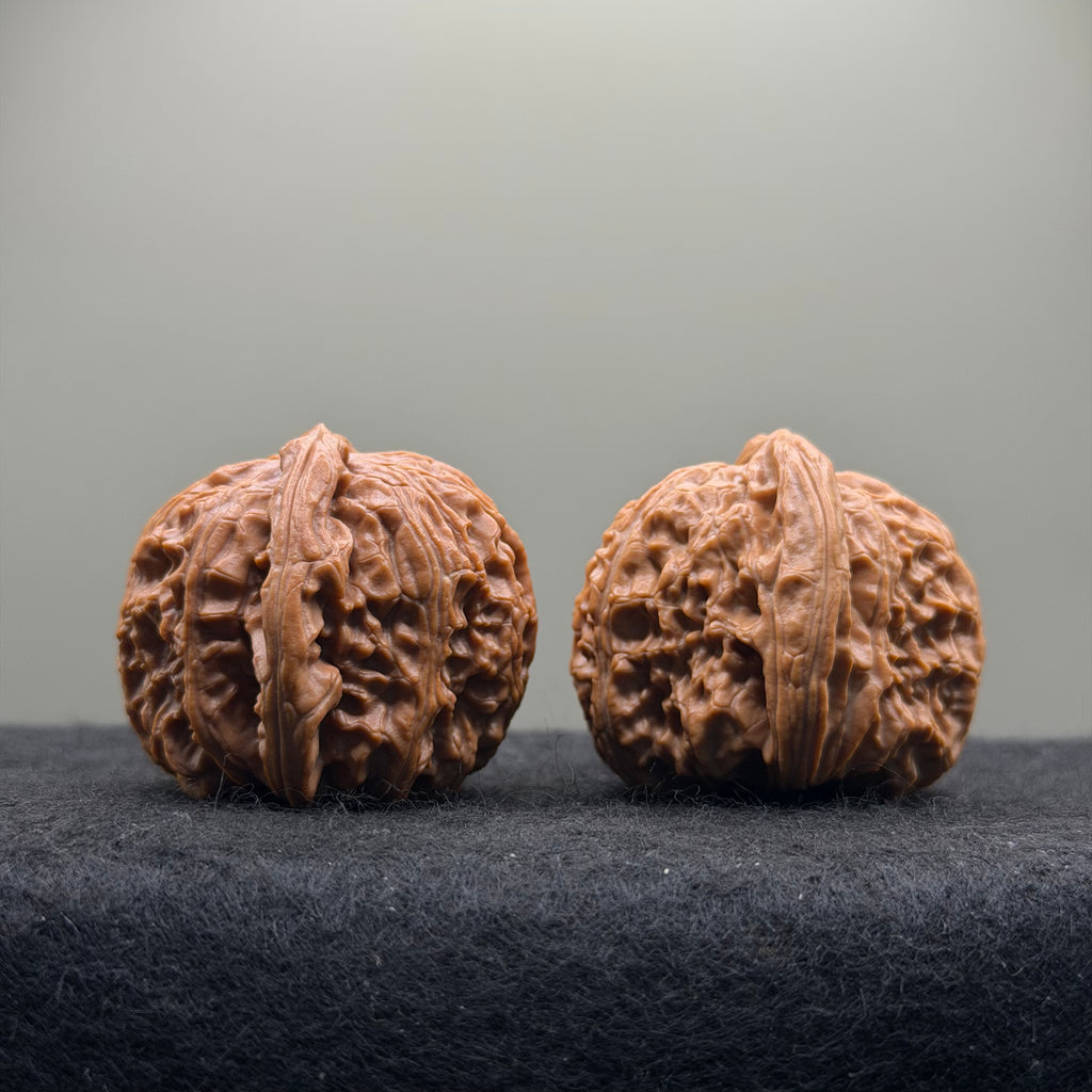 White Lion Wenwan Walnut · 39mm · Natural · Select Ritual