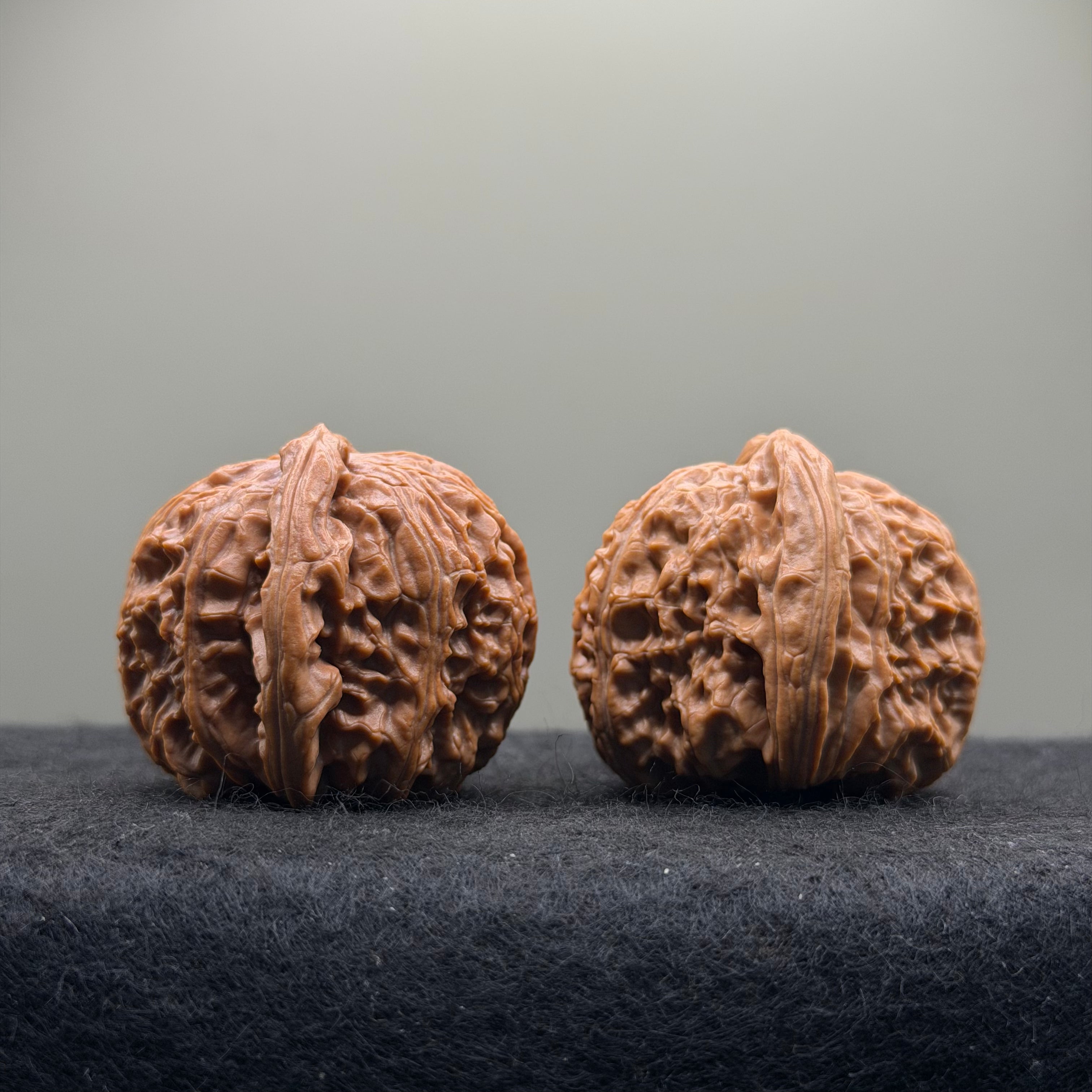 White Lion Wenwan Walnut · 39mm · Natural · Select Ritual