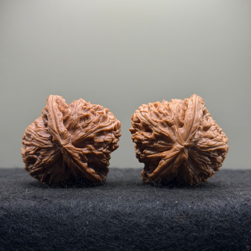 White Lion Wenwan Walnut · 39mm · Natural · Select Ritual
