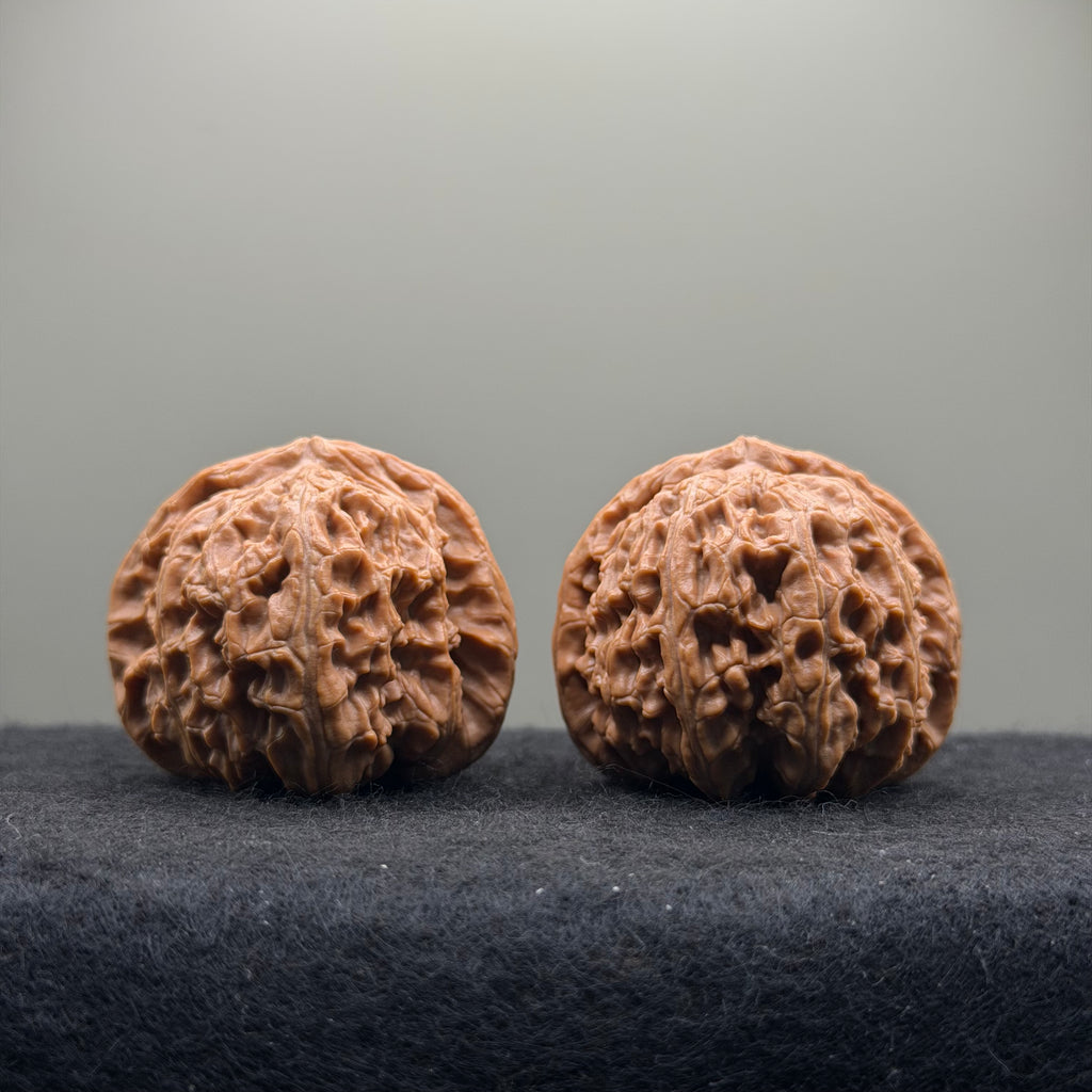 White Lion Wenwan Walnut  · 42mm · Natural · Select Ritual
