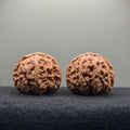 White Lion Wenwan Walnut  · 42mm · Natural · Select Ritual