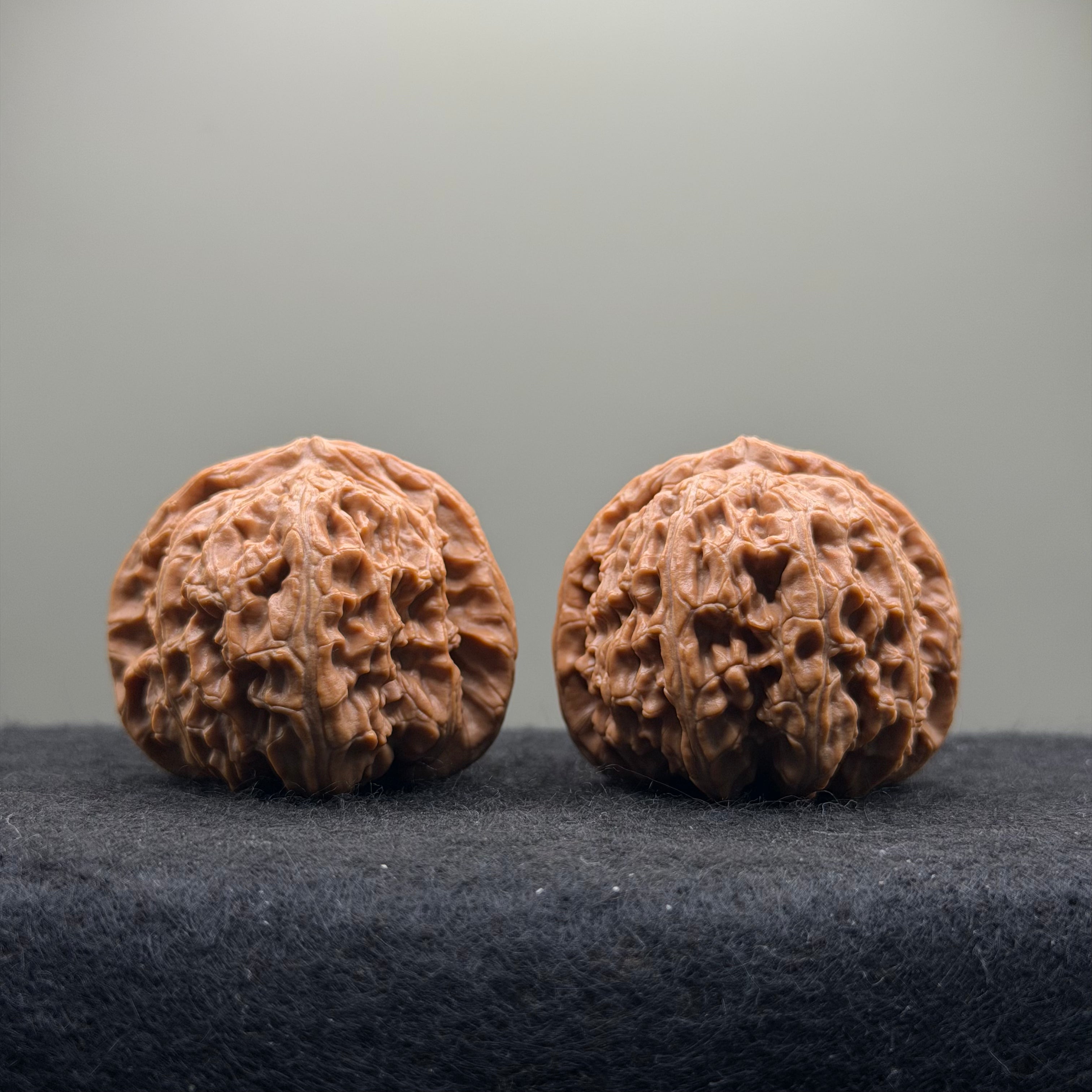 White Lion Wenwan Walnut  · 42mm · Natural · Select Ritual