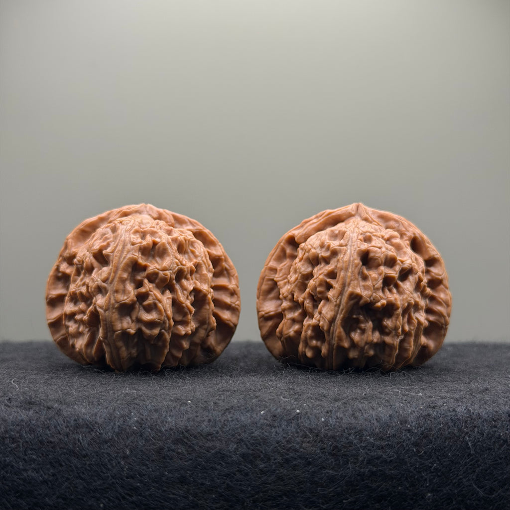 White Lion Wenwan Walnut  · 42mm · Natural · Select Ritual