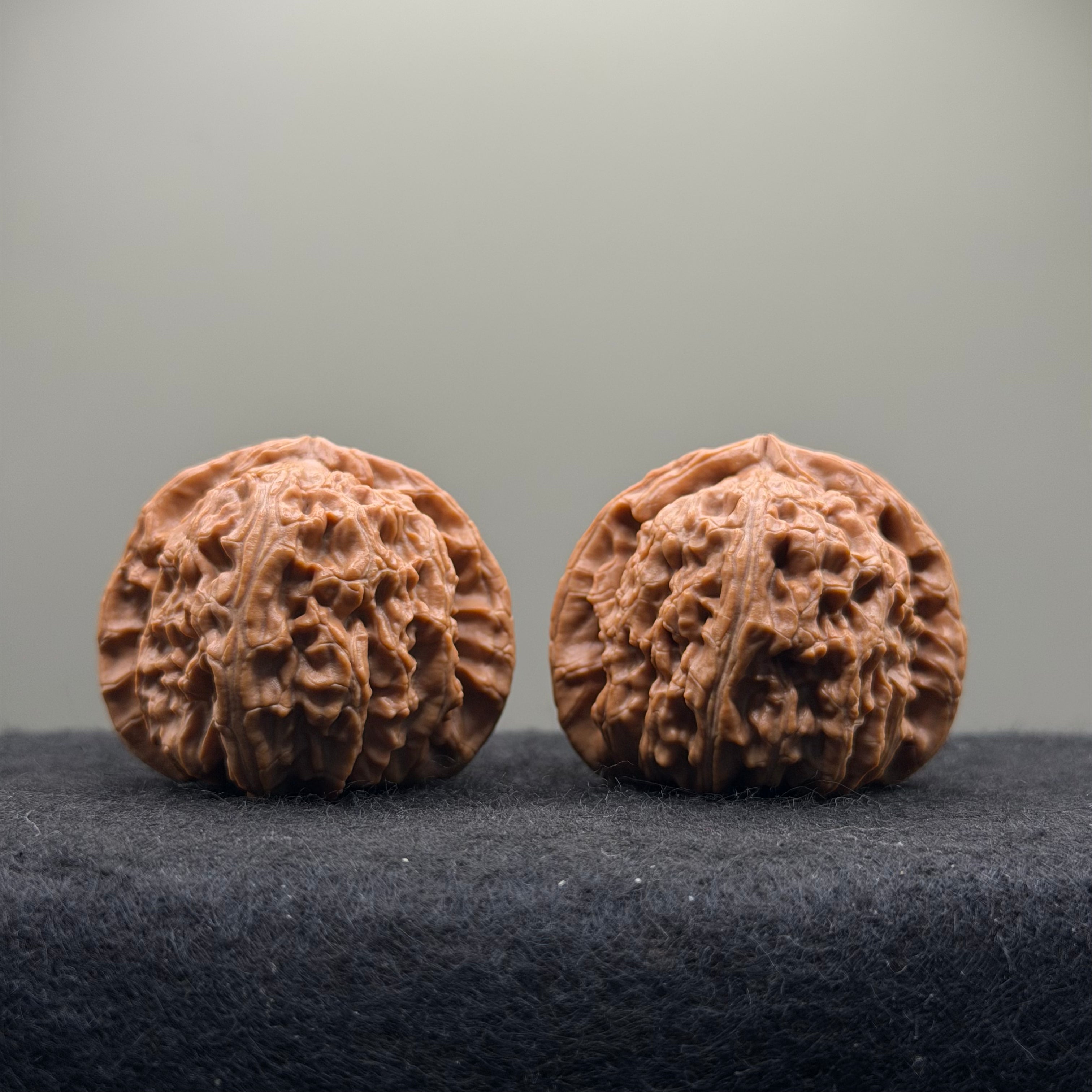 White Lion Wenwan Walnut  · 42mm · Natural · Select Ritual