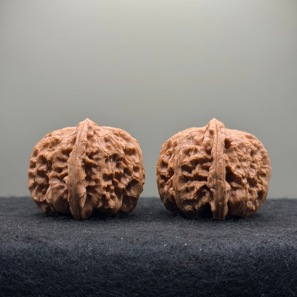 White Lion Wenwan Walnut  · 42mm · Natural · Select Ritual