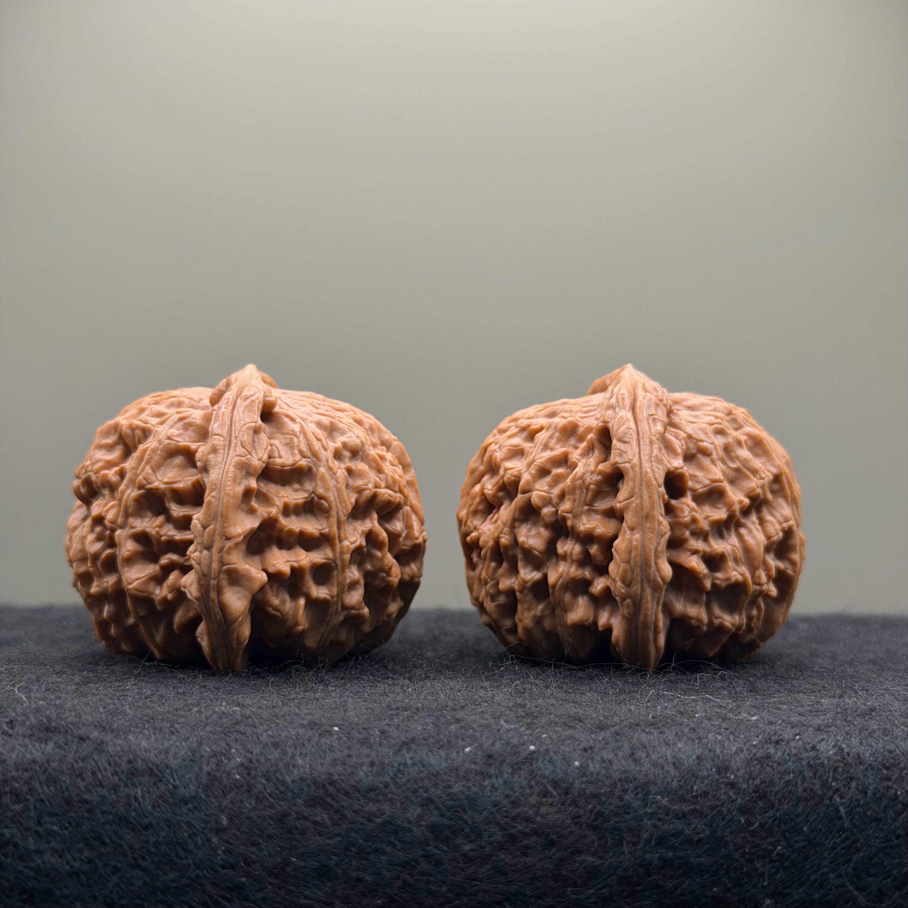 White Lion Wenwan Walnut  · 42mm · Natural · Select Ritual