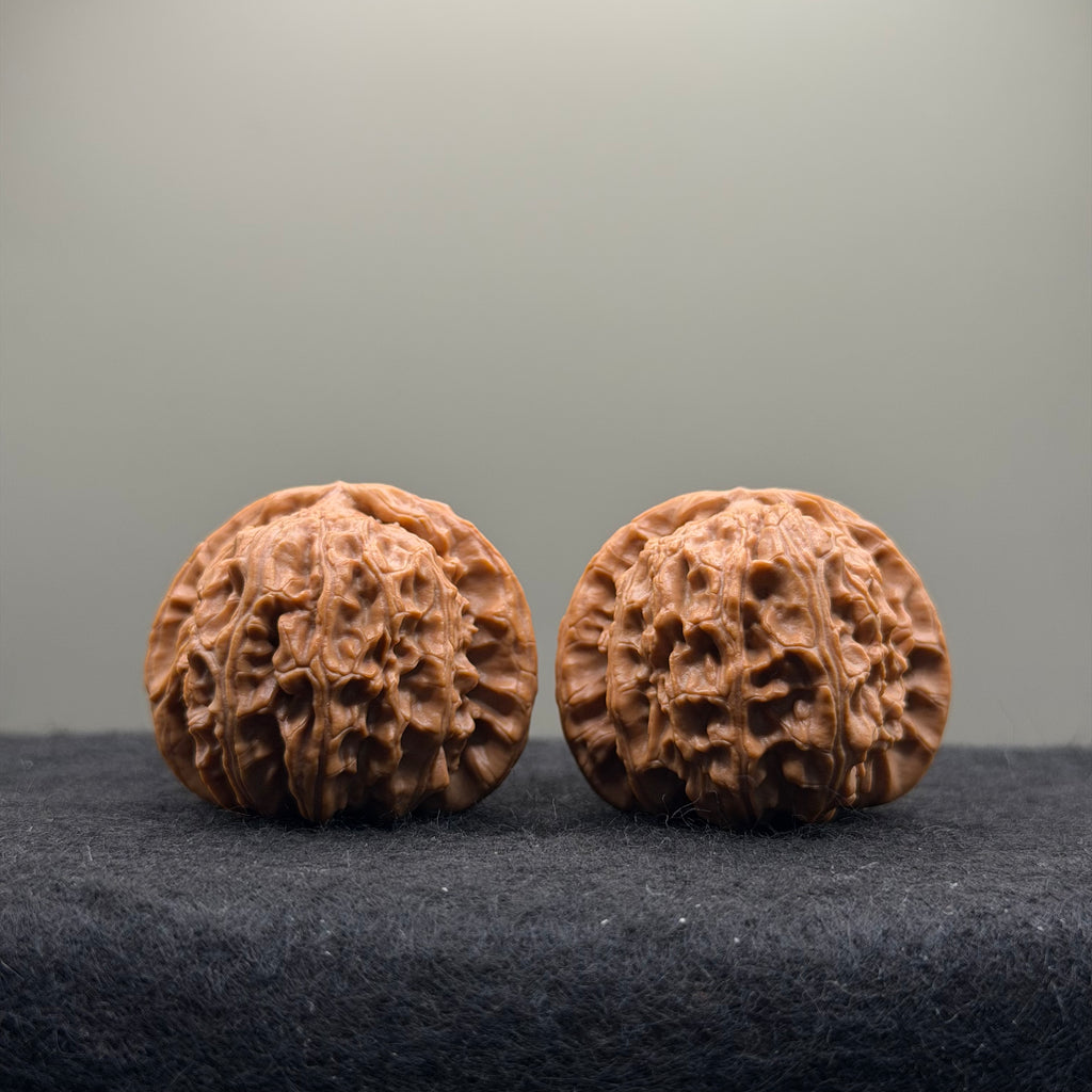 White Lion Wenwan Walnut · 38mm · Select Ritual