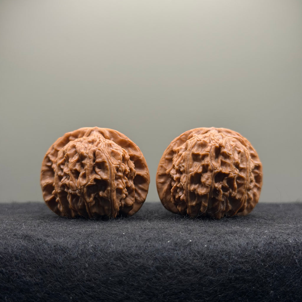 White Lion Wenwan Walnut · 38mm · Select Ritual