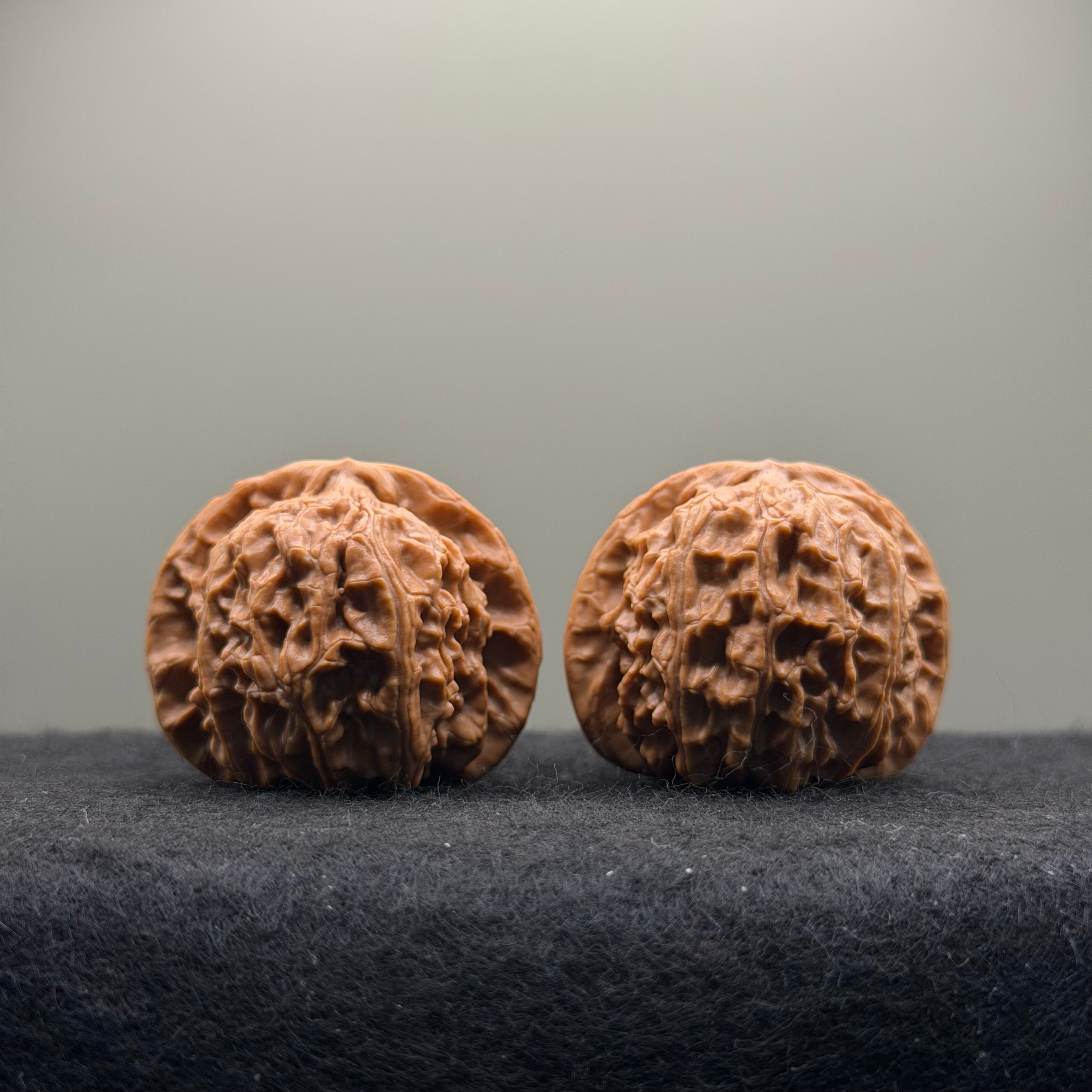 White Lion Wenwan Walnut · 38mm · Select Ritual