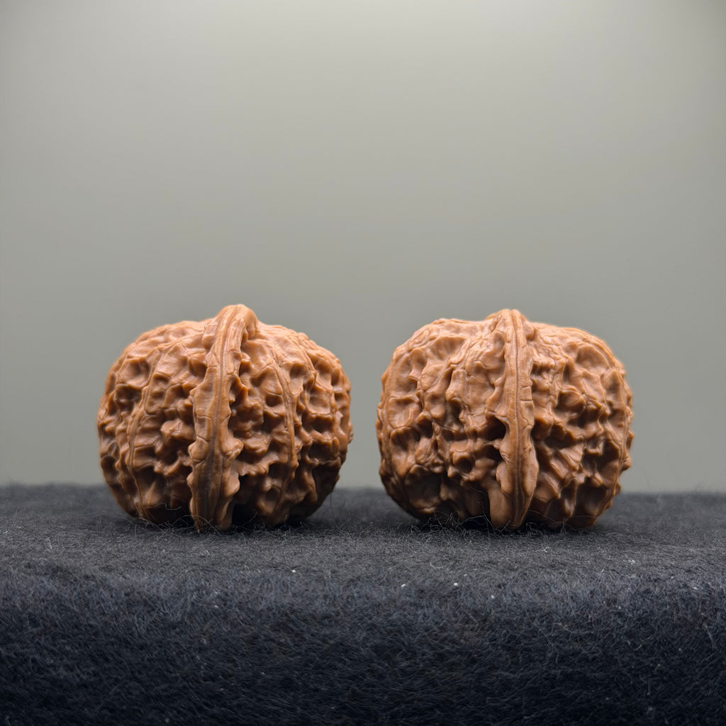 White Lion Wenwan Walnut · 38mm · Select Ritual