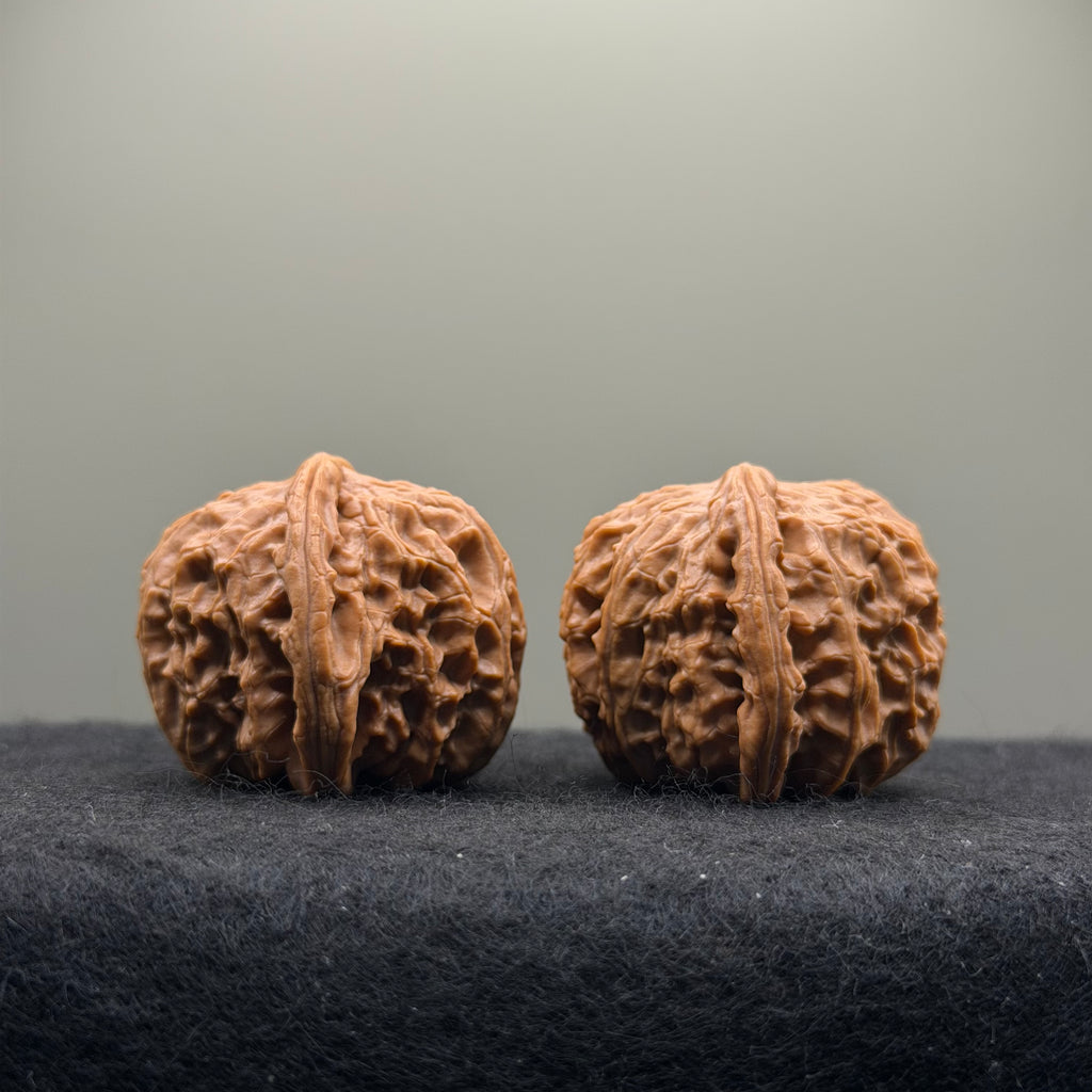 White Lion Wenwan Walnut · 38mm · Select Ritual