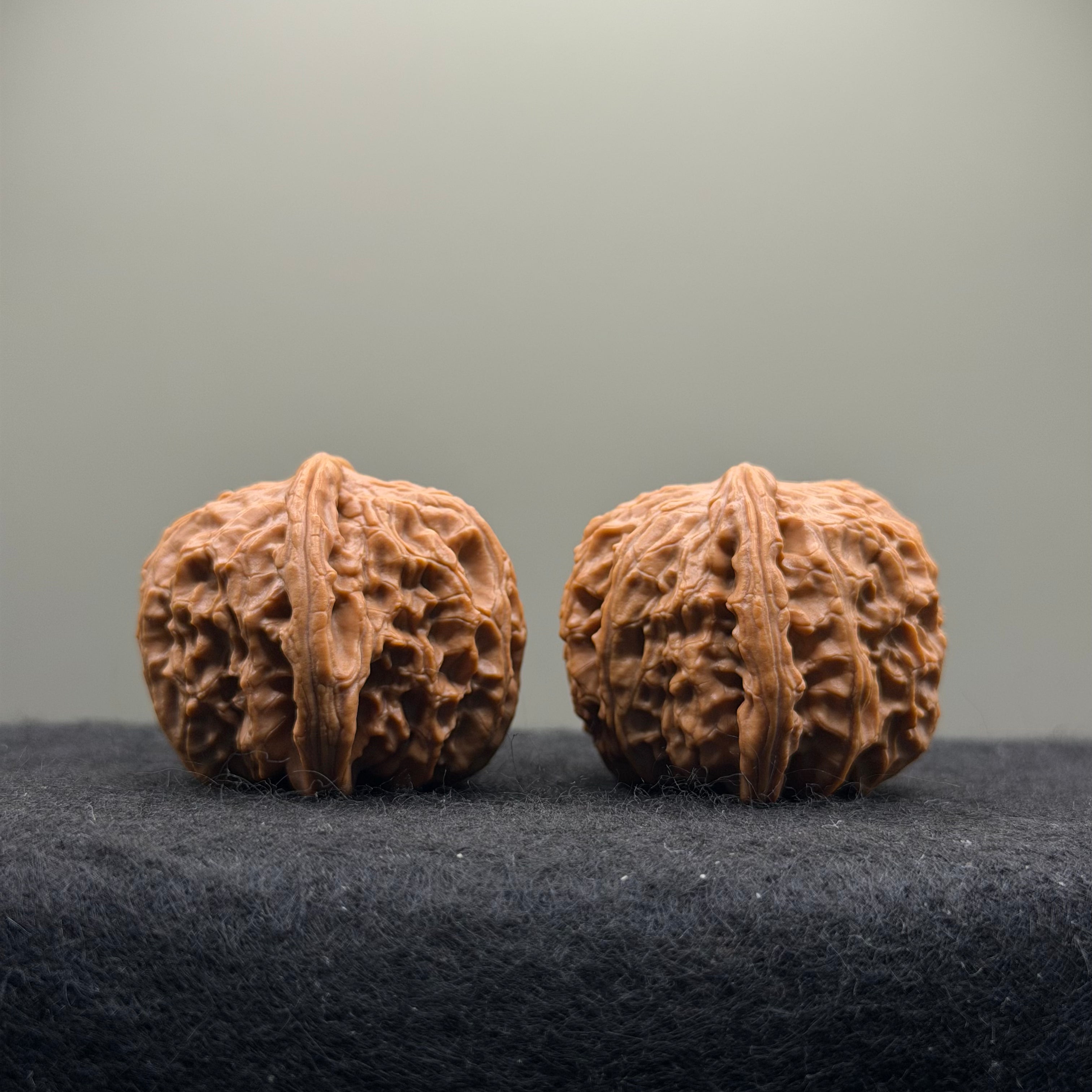 White Lion Wenwan Walnut · 38mm · Select Ritual