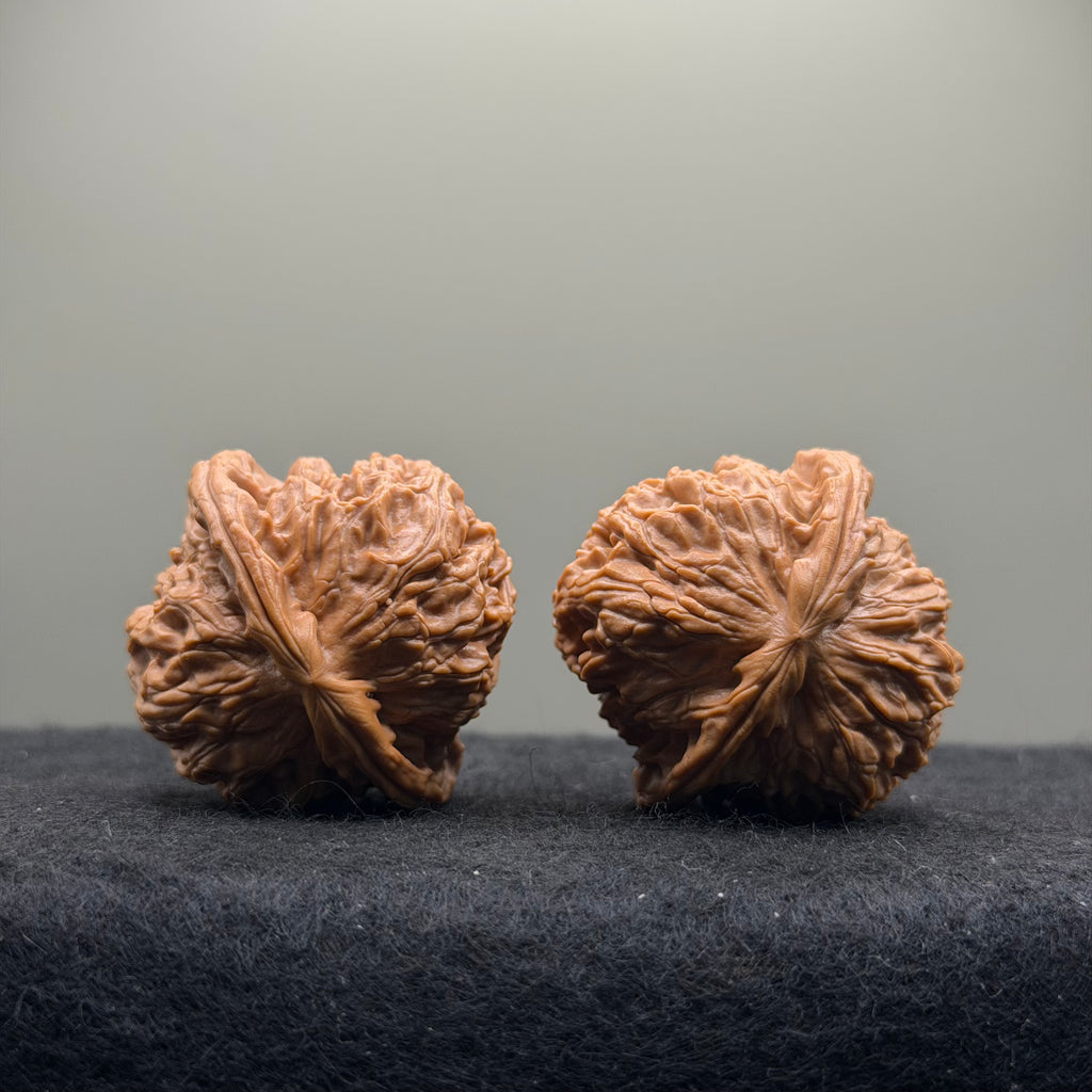 White Lion Wenwan Walnut · 38mm · Select Ritual