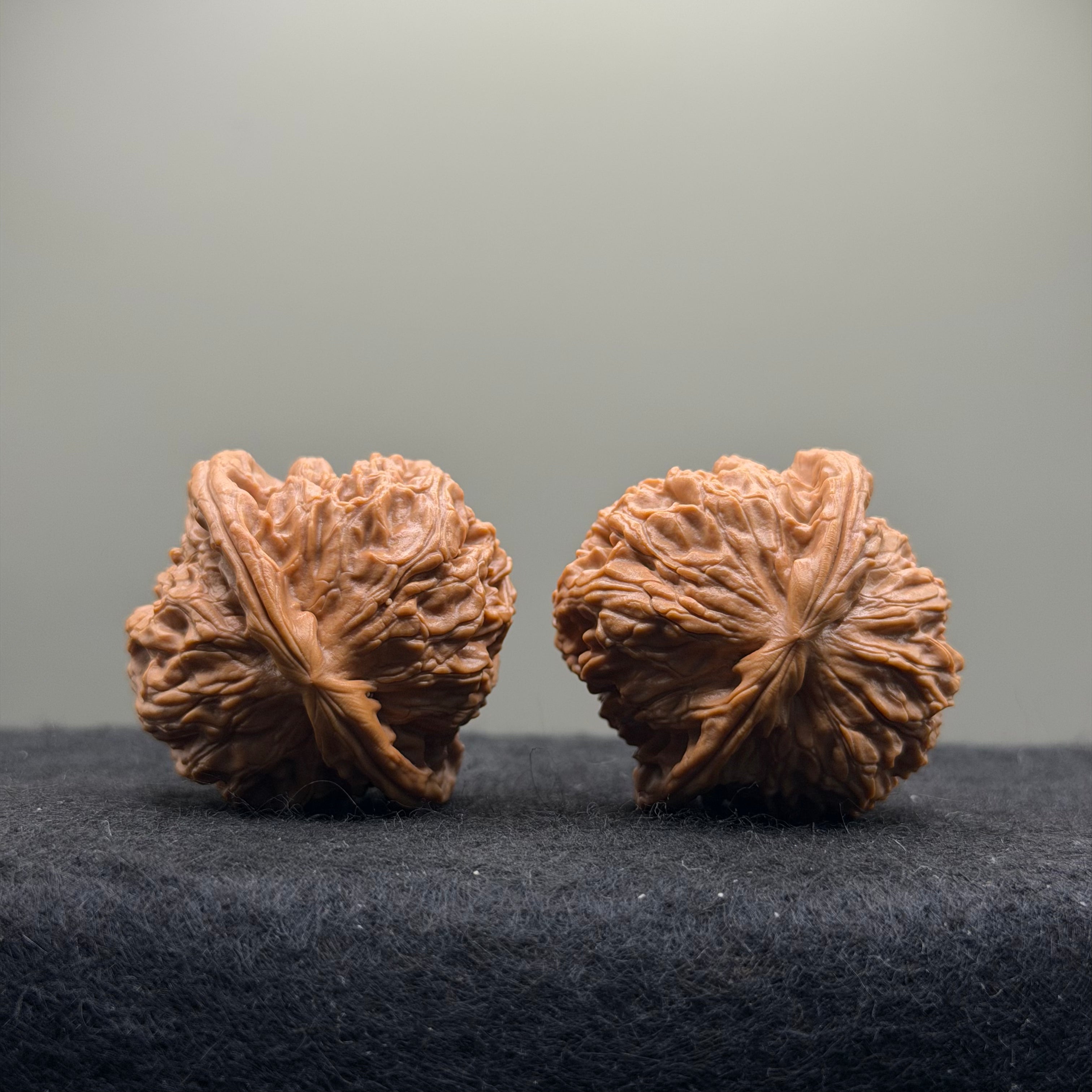 White Lion Wenwan Walnut · 38mm · Select Ritual