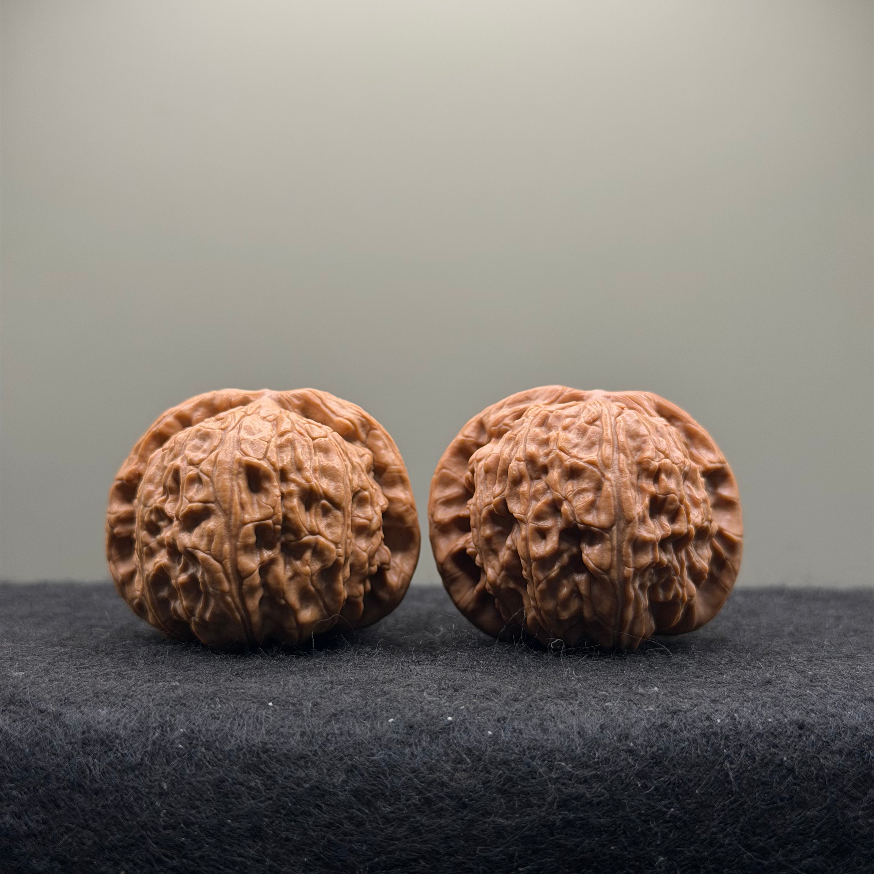 White Lion Wenwan Walnut  · 39mm · Entry Ritual