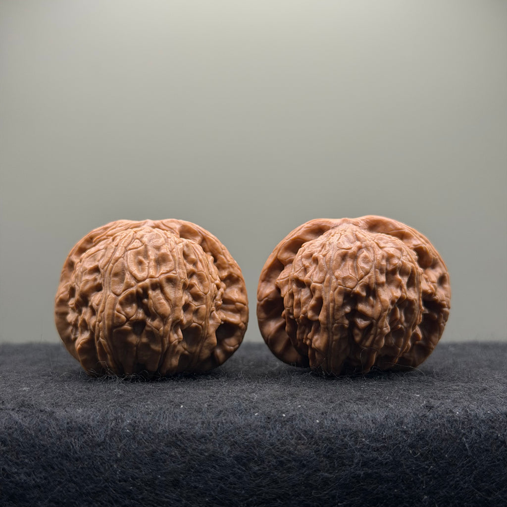 White Lion Wenwan Walnut  · 39mm · Entry Ritual