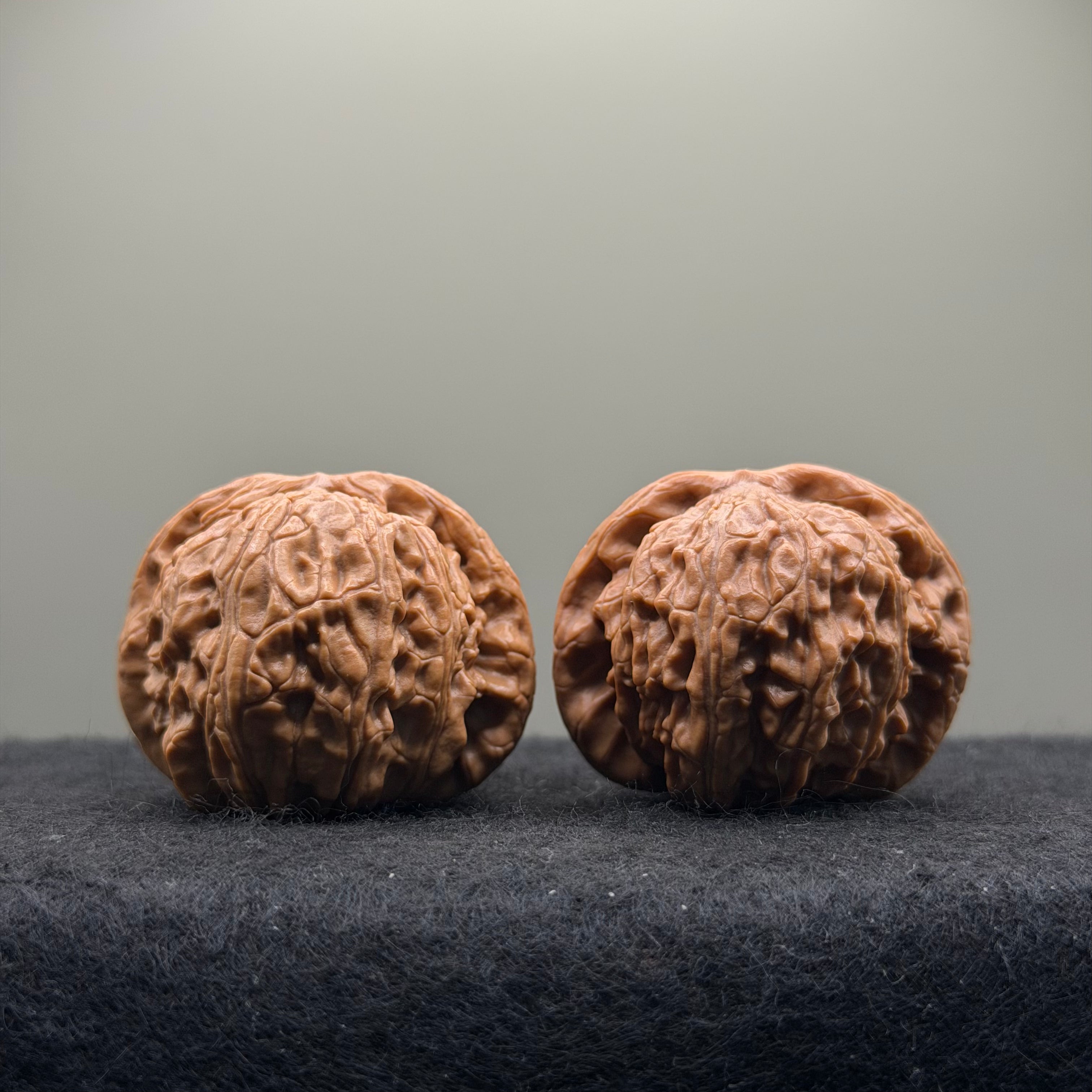 White Lion Wenwan Walnut  · 39mm · Entry Ritual