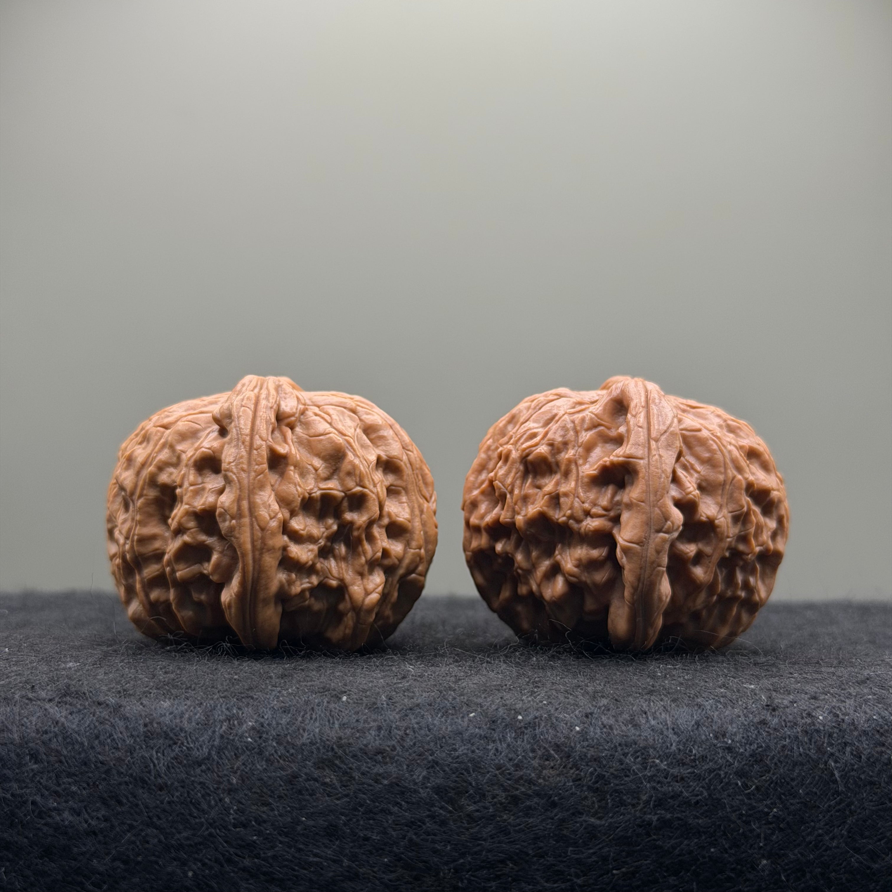 White Lion Wenwan Walnut  · 39mm · Entry Ritual
