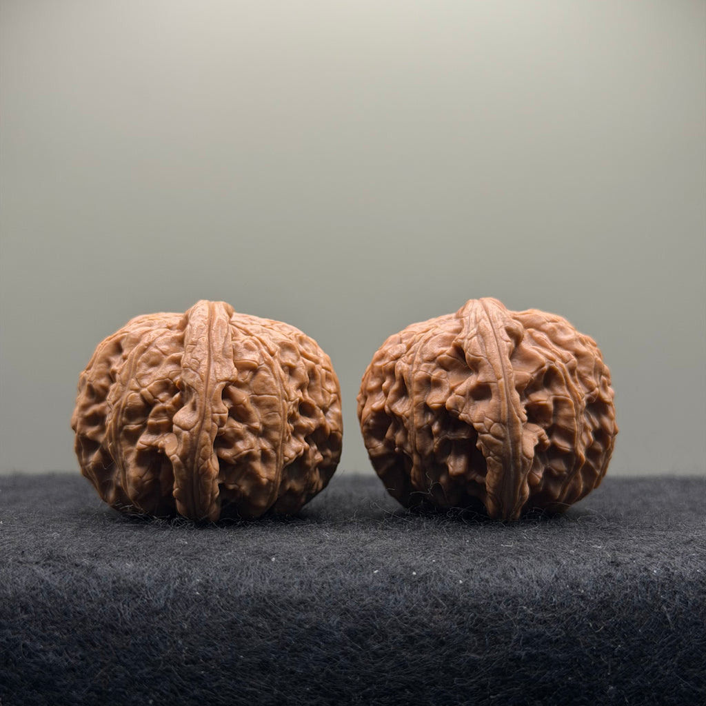 White Lion Wenwan Walnut  · 39mm · Entry Ritual