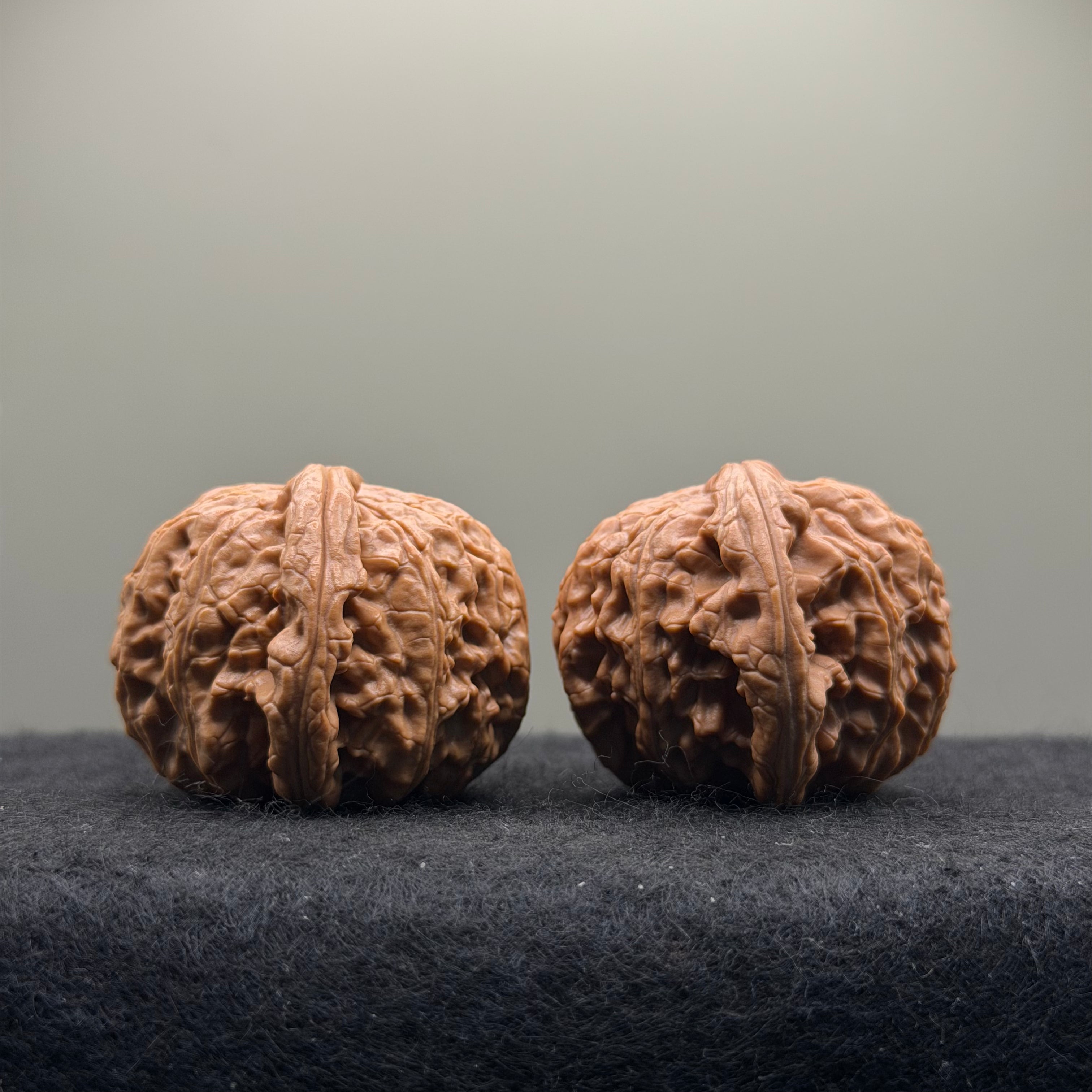White Lion Wenwan Walnut  · 39mm · Entry Ritual