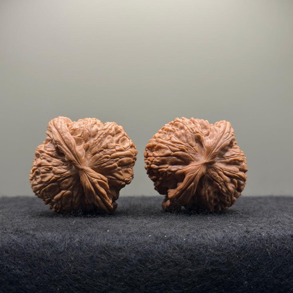 White Lion Wenwan Walnut  · 39mm · Entry Ritual
