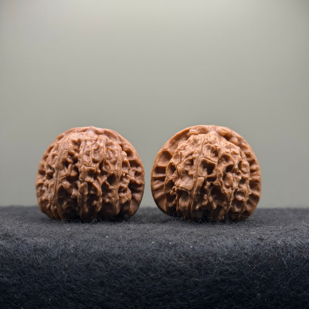 White Lion Wenwan Walnut · 37mm · Select Ritual