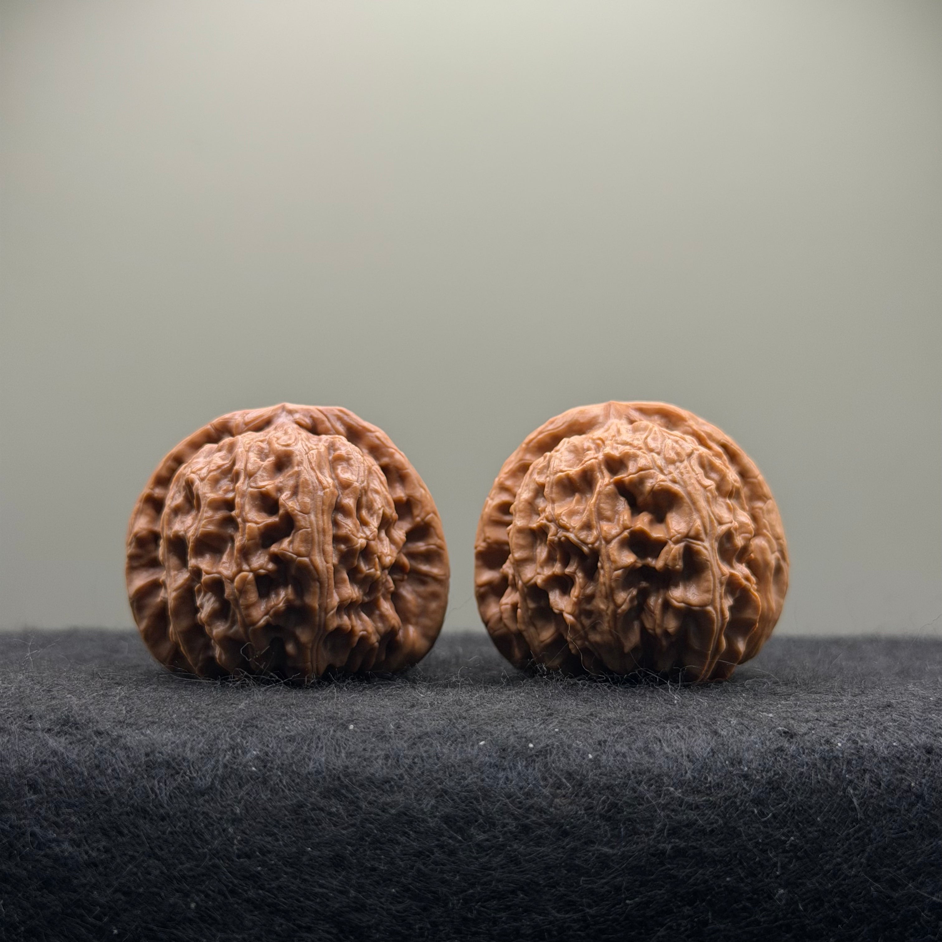 White Lion Wenwan Walnut · 37mm · Select Ritual