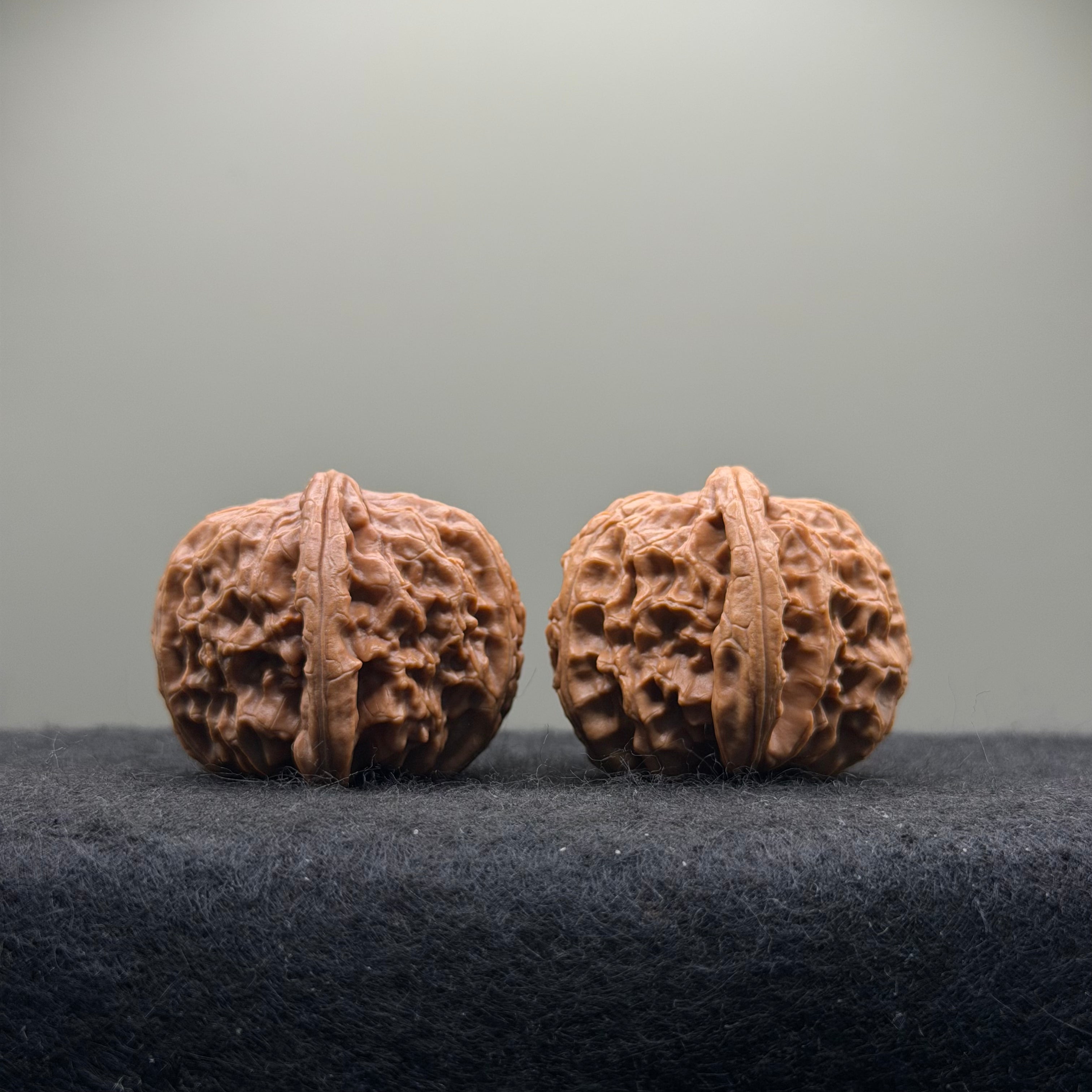 White Lion Wenwan Walnut · 37mm · Select Ritual