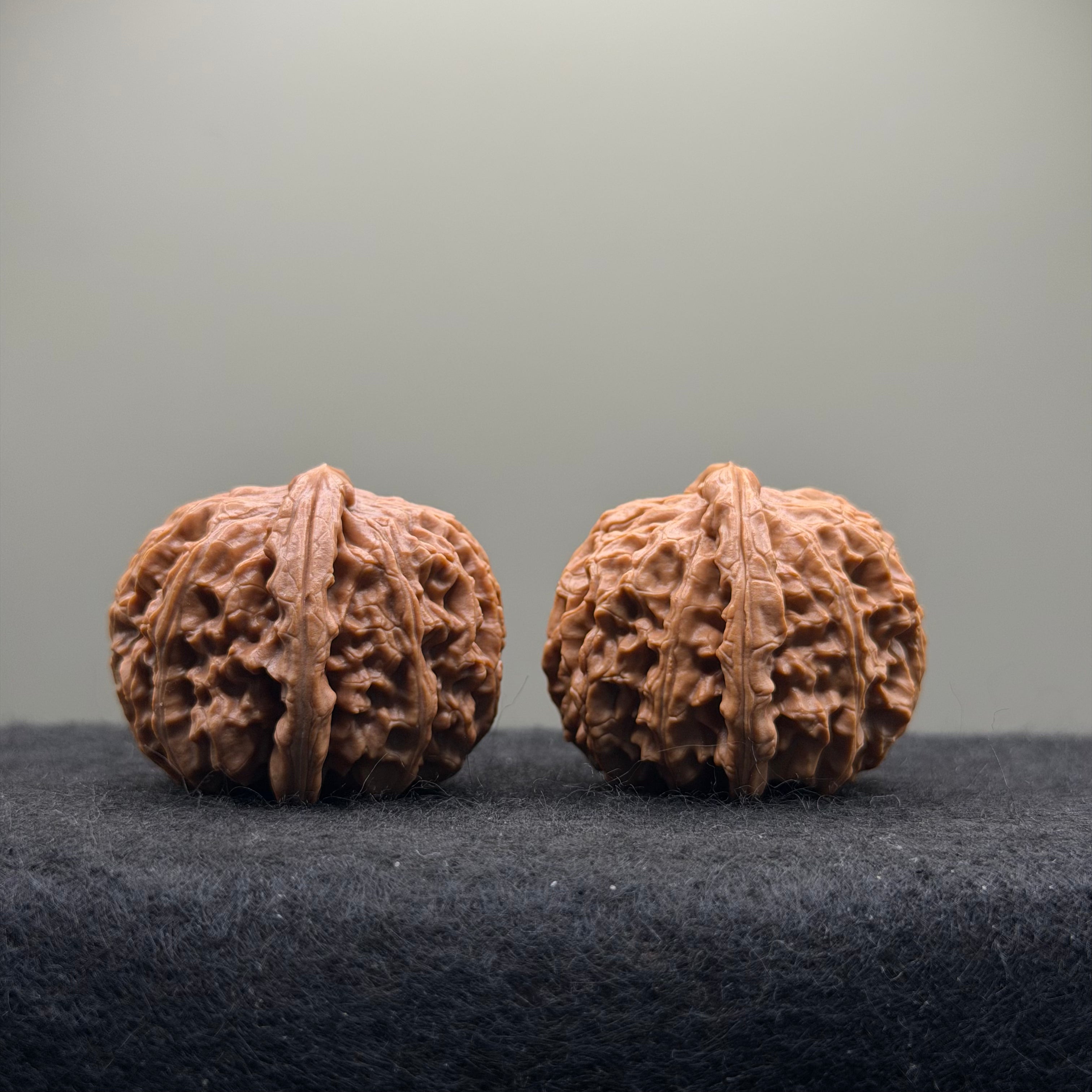 White Lion Wenwan Walnut · 37mm · Select Ritual