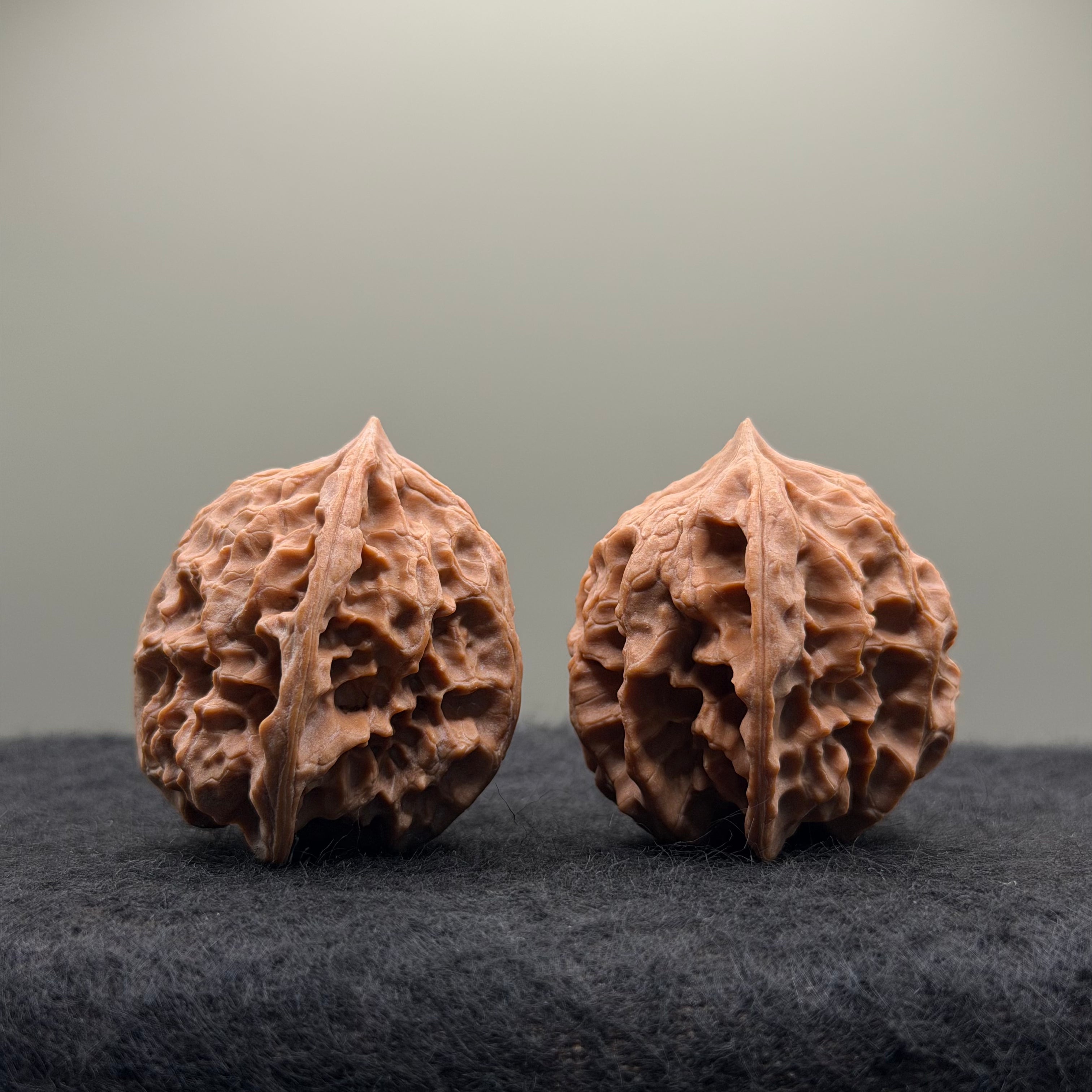 WalnutRitual Exclusive · First Love Wenwan Walnut · 37mm · Natural · Entry Ritual