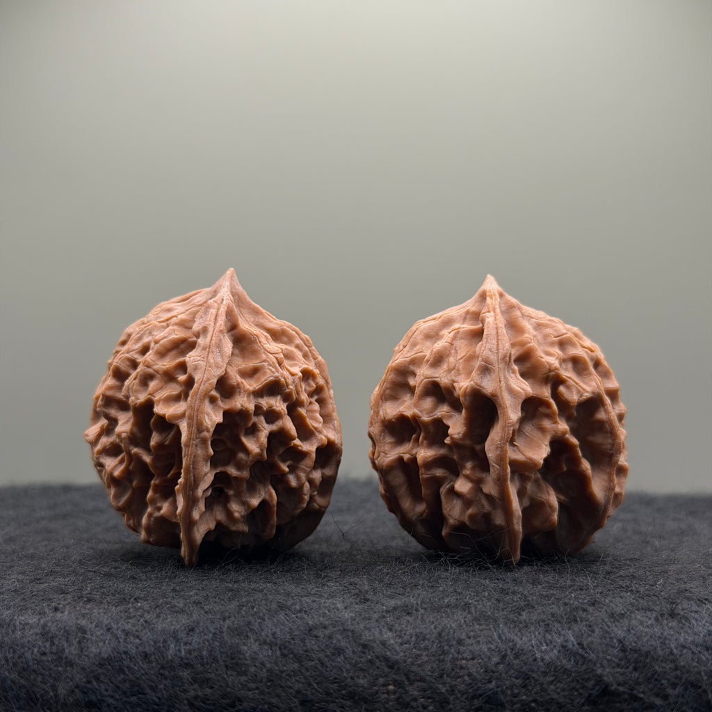 WalnutRitual Exclusive · First Love Wenwan Walnut · 37mm · Natural · Entry Ritual