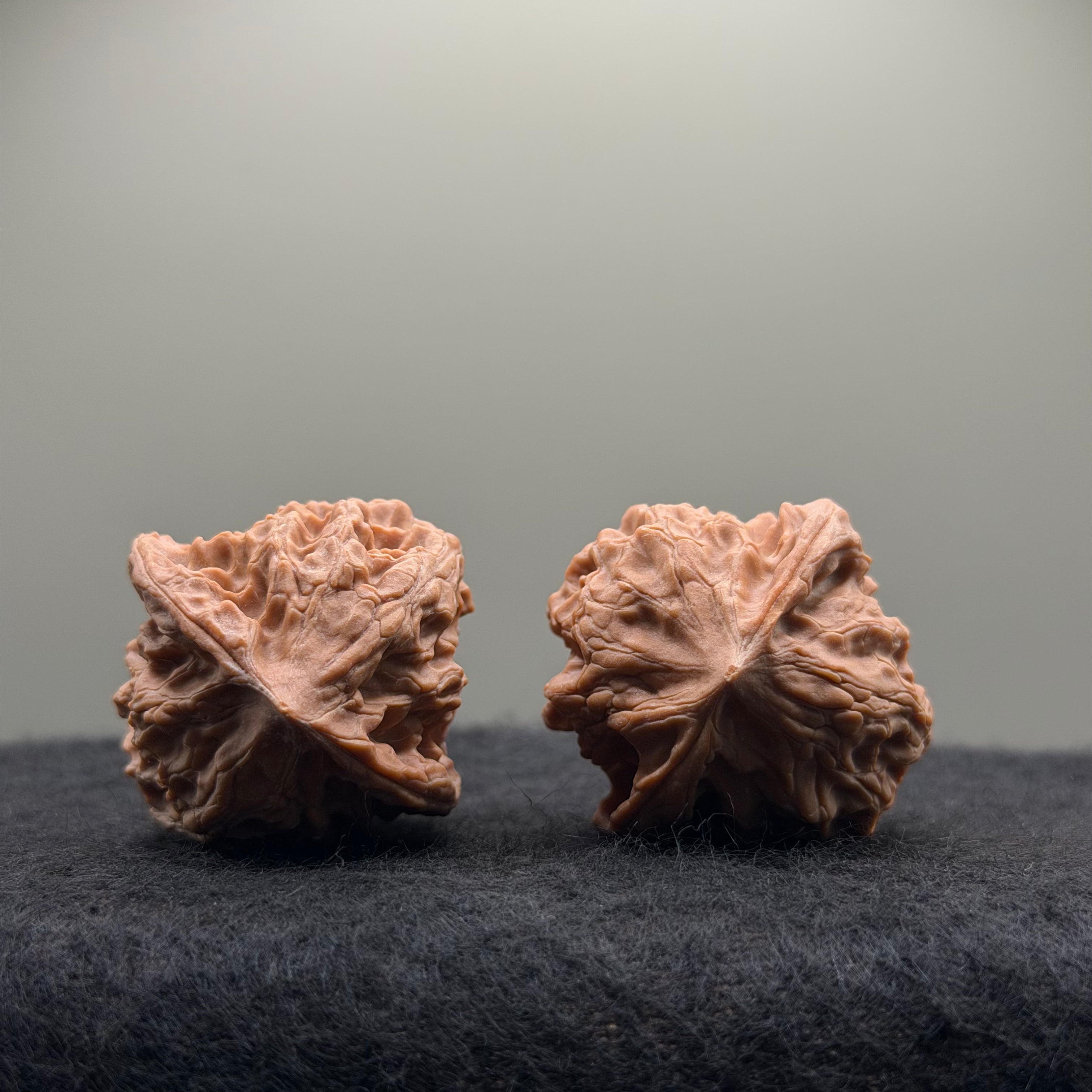 WalnutRitual Exclusive · First Love Wenwan Walnut · 37mm · Natural · Entry Ritual