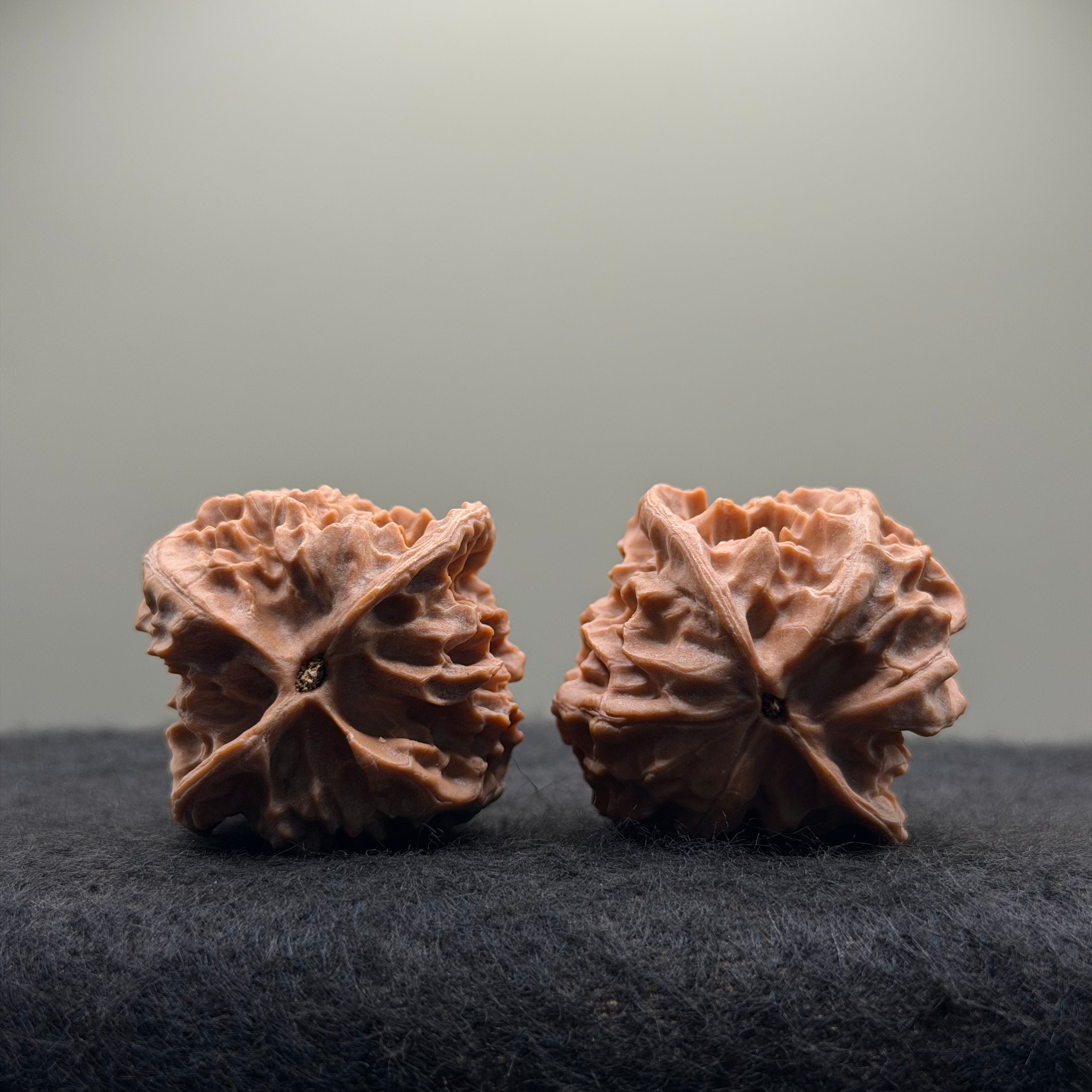 WalnutRitual Exclusive · First Love Wenwan Walnut · 37mm · Natural · Entry Ritual