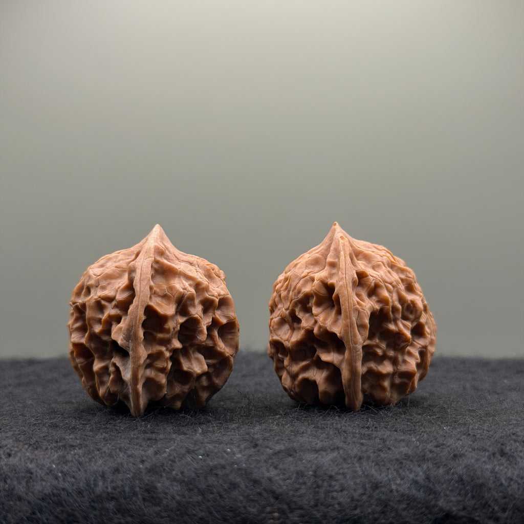 WalnutRitual Exclusive · First Love Wenwan Walnut · 32mm · Natural · Entry Ritual