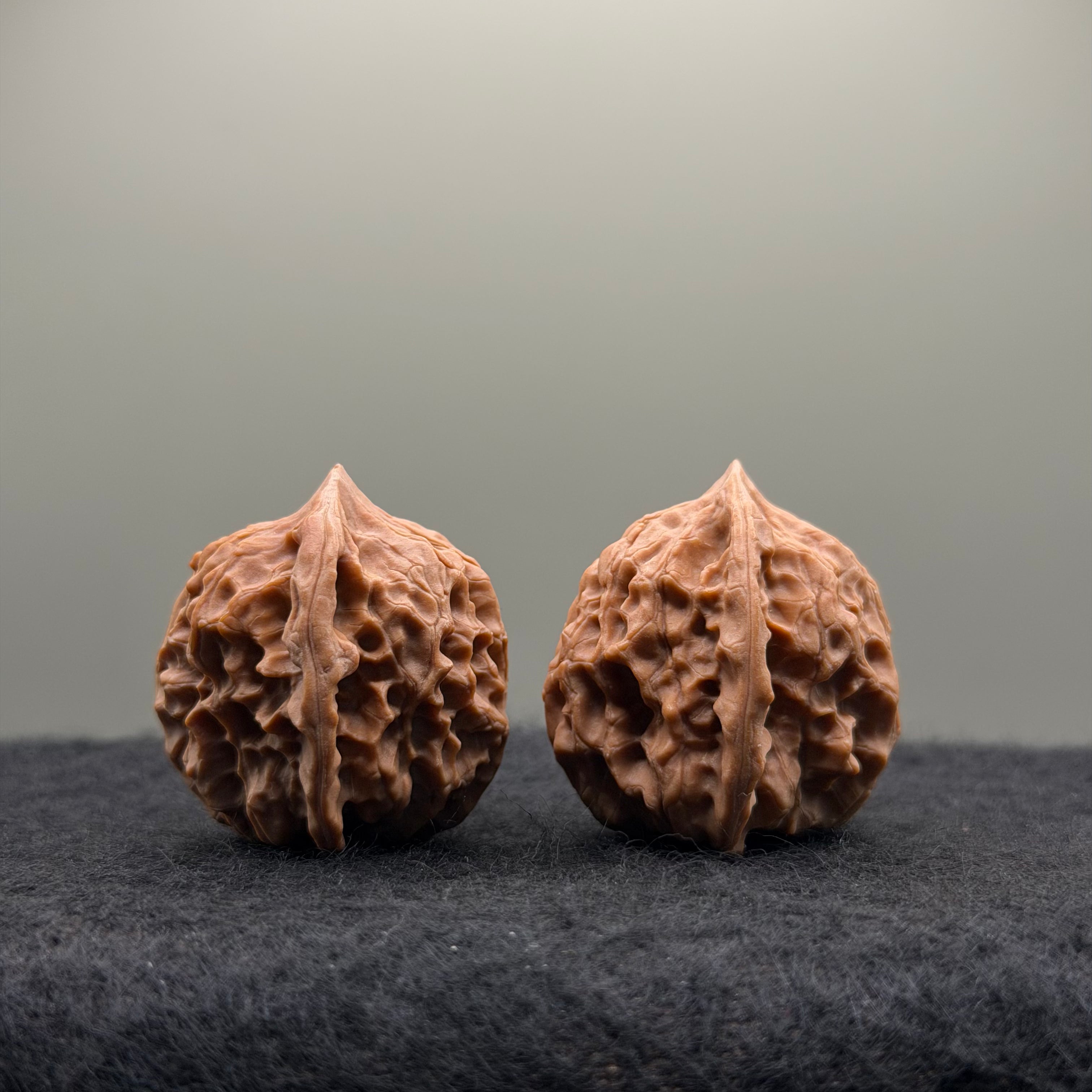WalnutRitual Exclusive · First Love Wenwan Walnut · 32mm · Natural · Entry Ritual