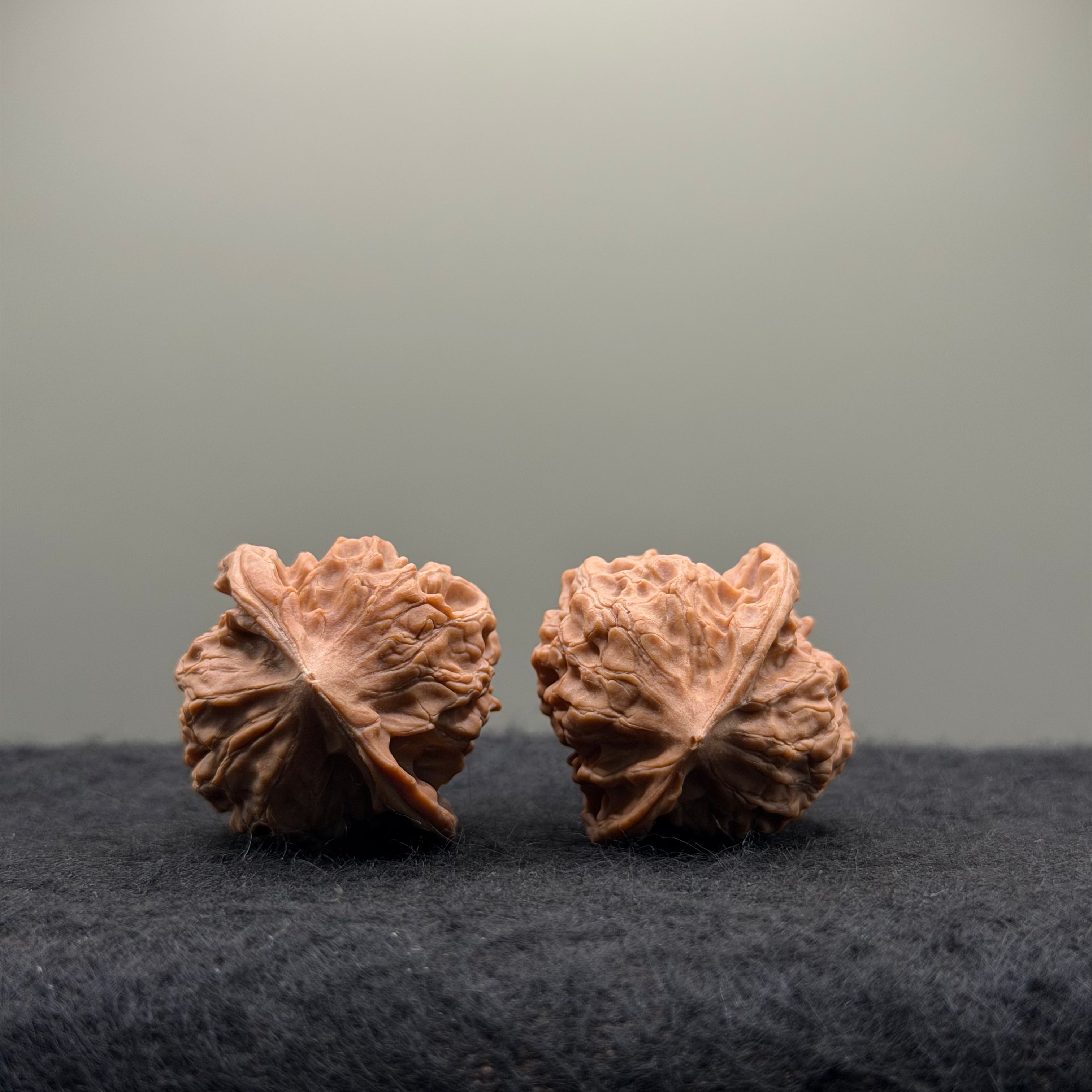 WalnutRitual Exclusive · First Love Wenwan Walnut · 32mm · Natural · Entry Ritual