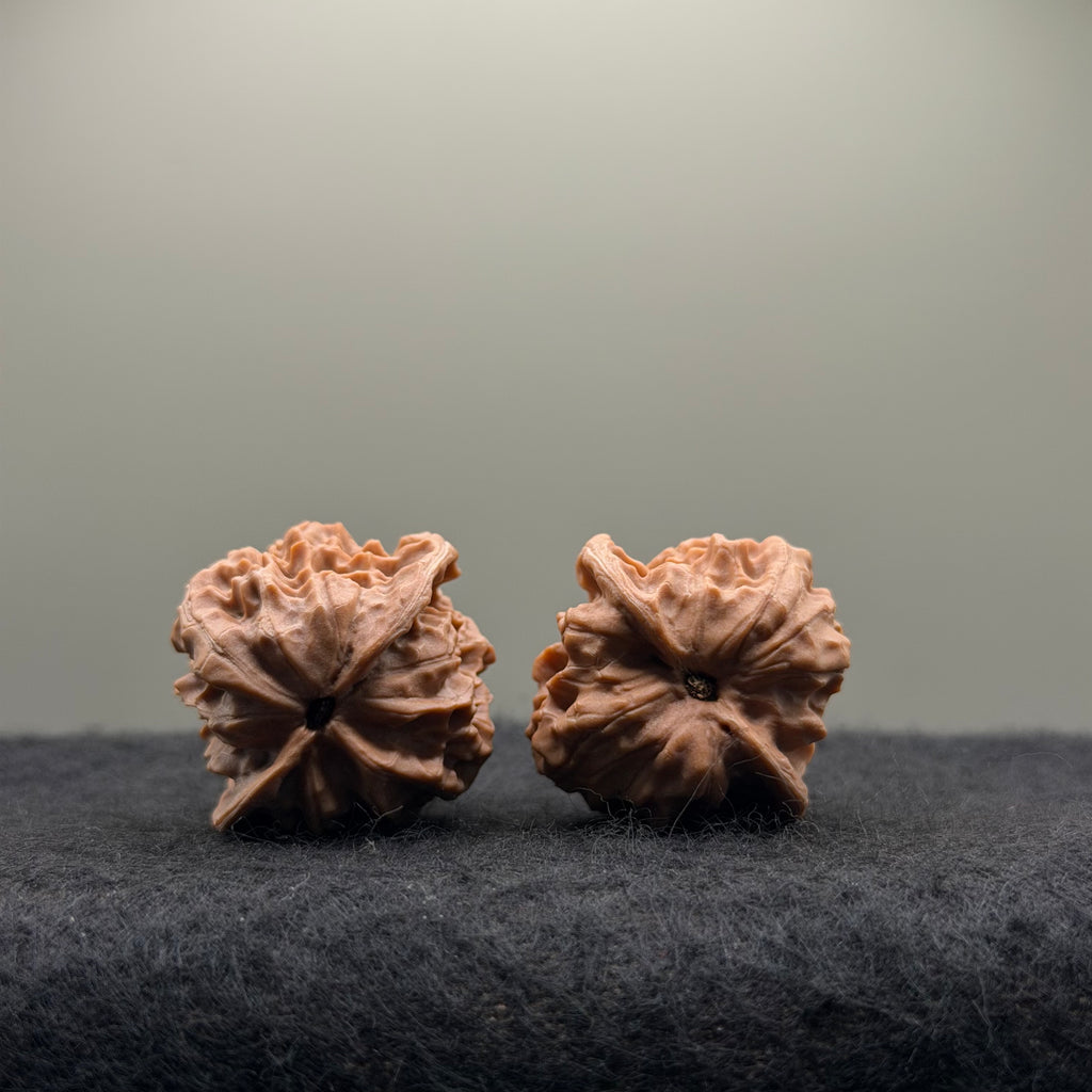 WalnutRitual Exclusive · First Love Wenwan Walnut · 32mm · Natural · Entry Ritual