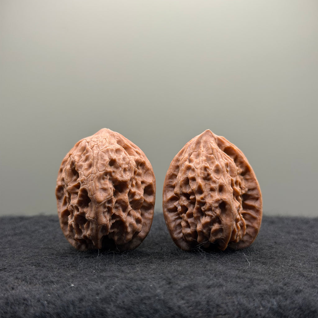 WalnutRitual Exclusive · First Love Wenwan Walnut · 29mm · Natural · Entry Ritual