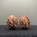 WalnutRitual Exclusive · First Love Wenwan Walnut · 29mm · Natural · Entry Ritual