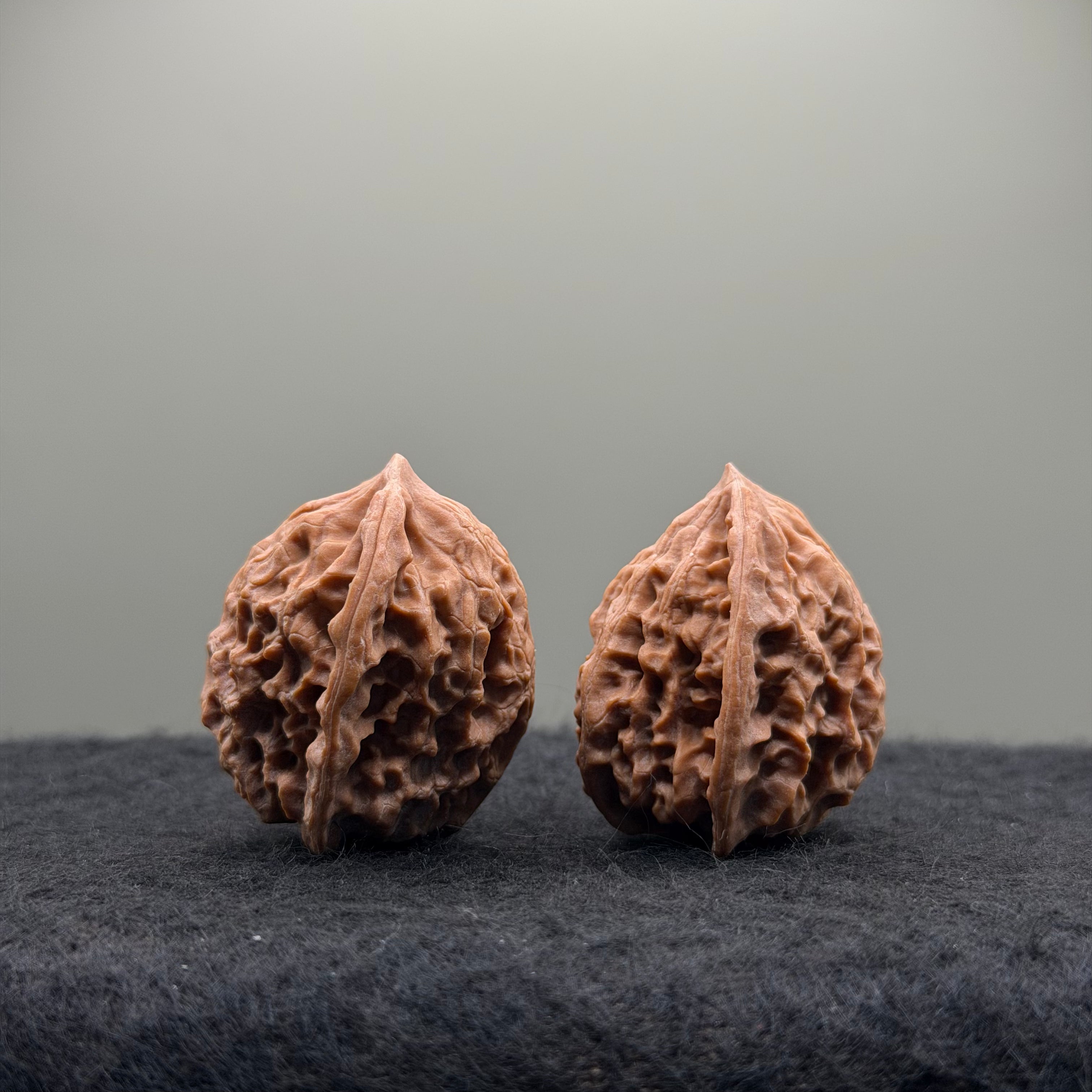 WalnutRitual Exclusive · First Love Wenwan Walnut · 29mm · Natural · Entry Ritual