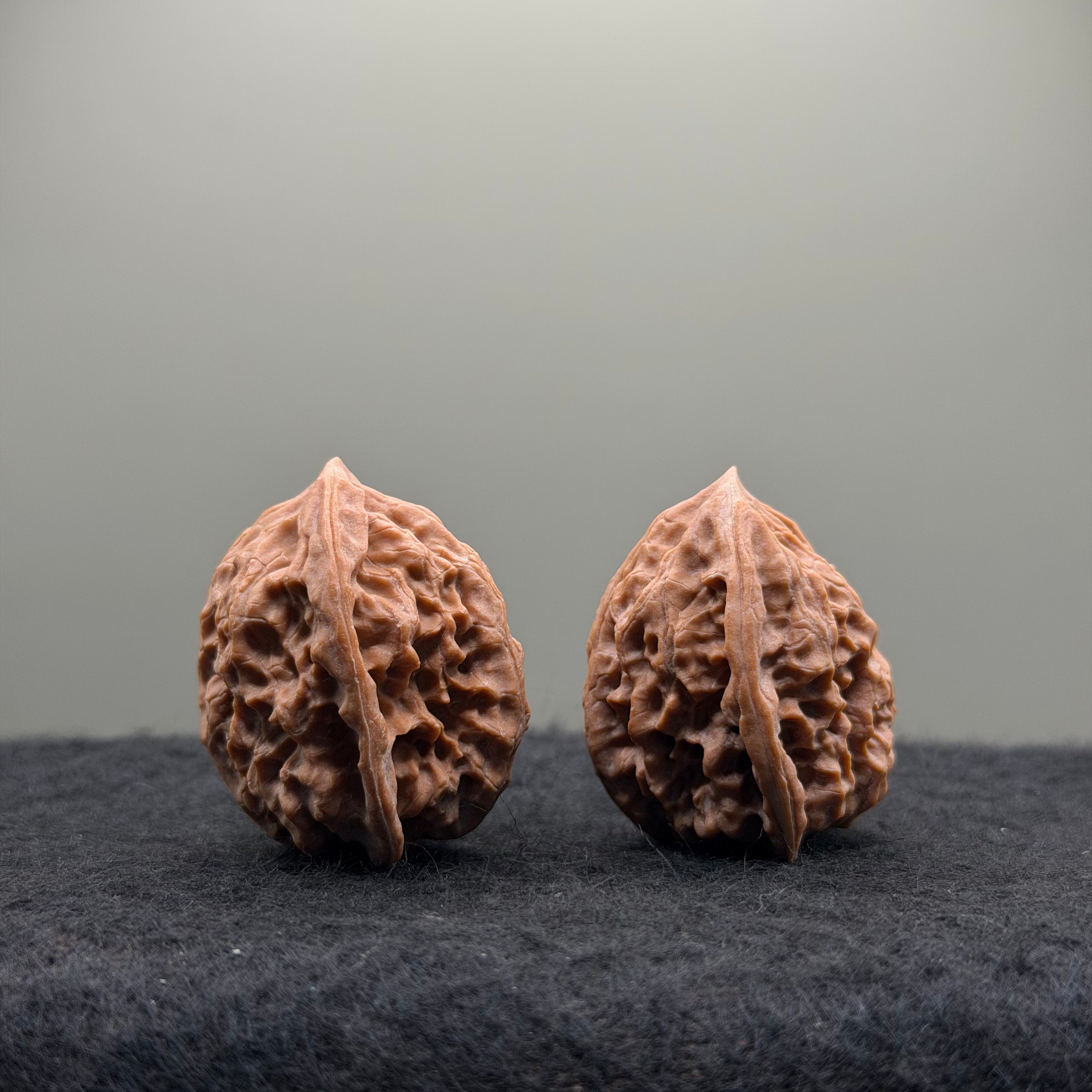 WalnutRitual Exclusive · First Love Wenwan Walnut · 29mm · Natural · Entry Ritual