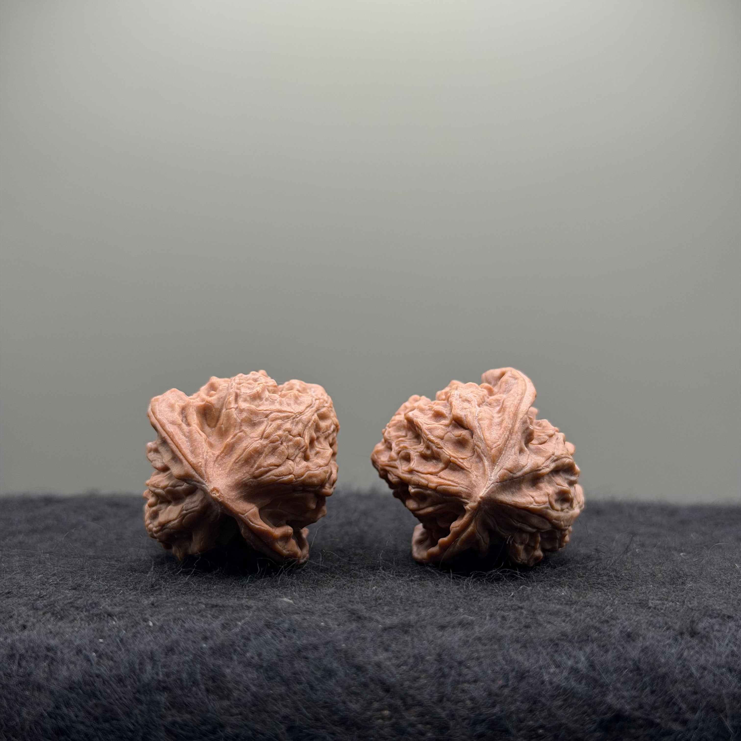 WalnutRitual Exclusive · First Love Wenwan Walnut · 29mm · Natural · Entry Ritual