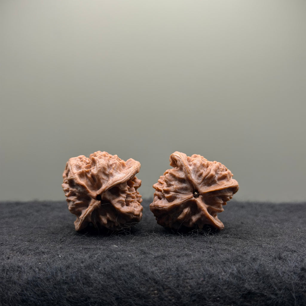 WalnutRitual Exclusive · First Love Wenwan Walnut · 29mm · Natural · Entry Ritual