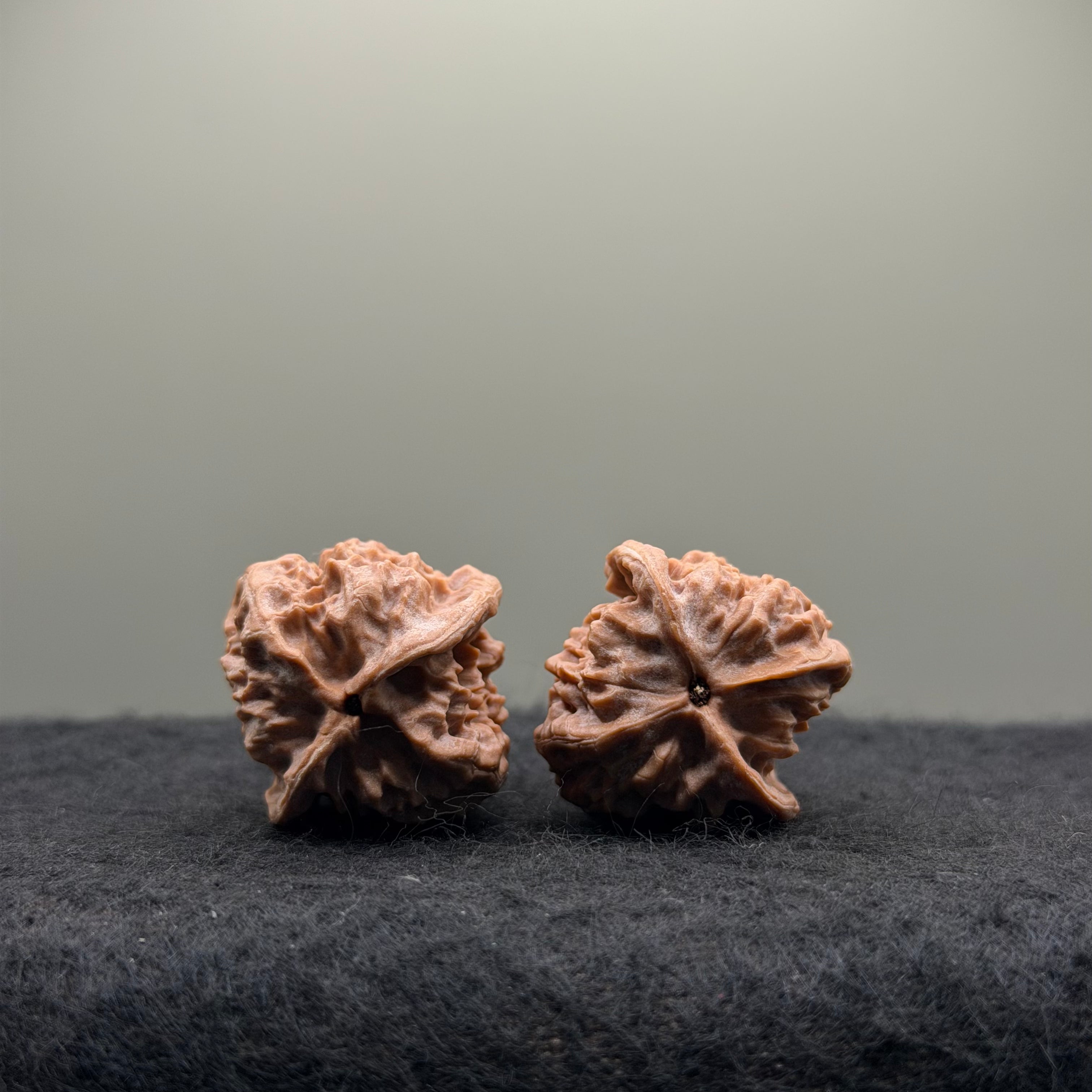 WalnutRitual Exclusive · First Love Wenwan Walnut · 29mm · Natural · Entry Ritual