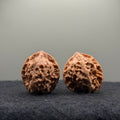 WalnutRitual Exclusive · First Love Wenwan Walnut · 35mm · Natural · Entry Ritual