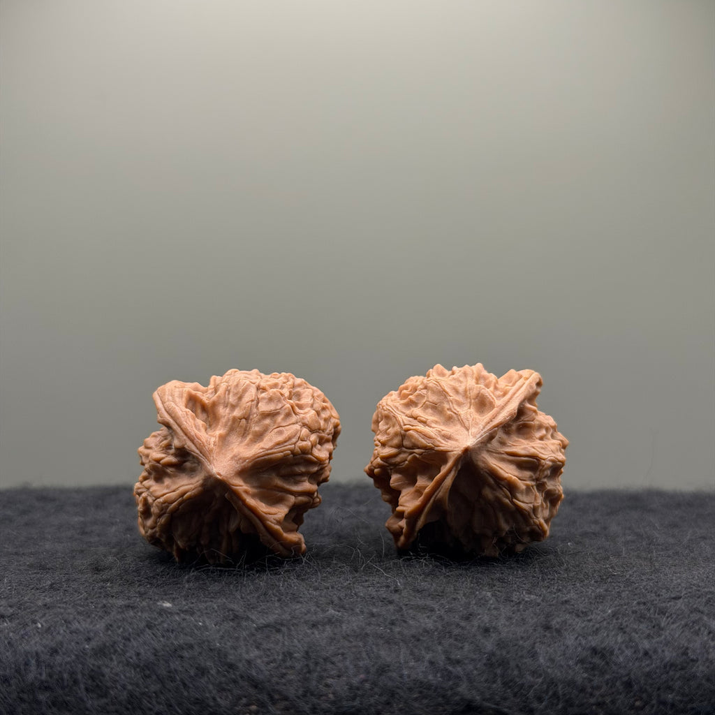 WalnutRitual Exclusive · First Love Wenwan Walnut · 35mm · Natural · Entry Ritual