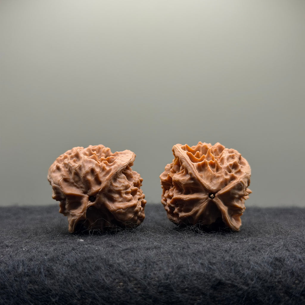 WalnutRitual Exclusive · First Love Wenwan Walnut · 35mm · Natural · Entry Ritual